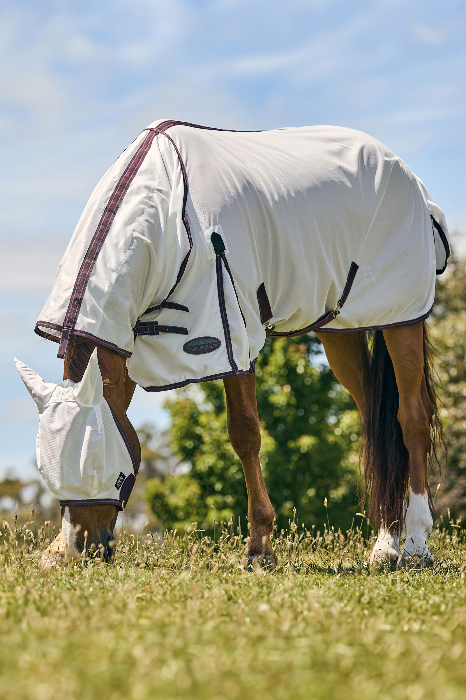 Weatherbeeta Comfitec Essential maschera in mesh