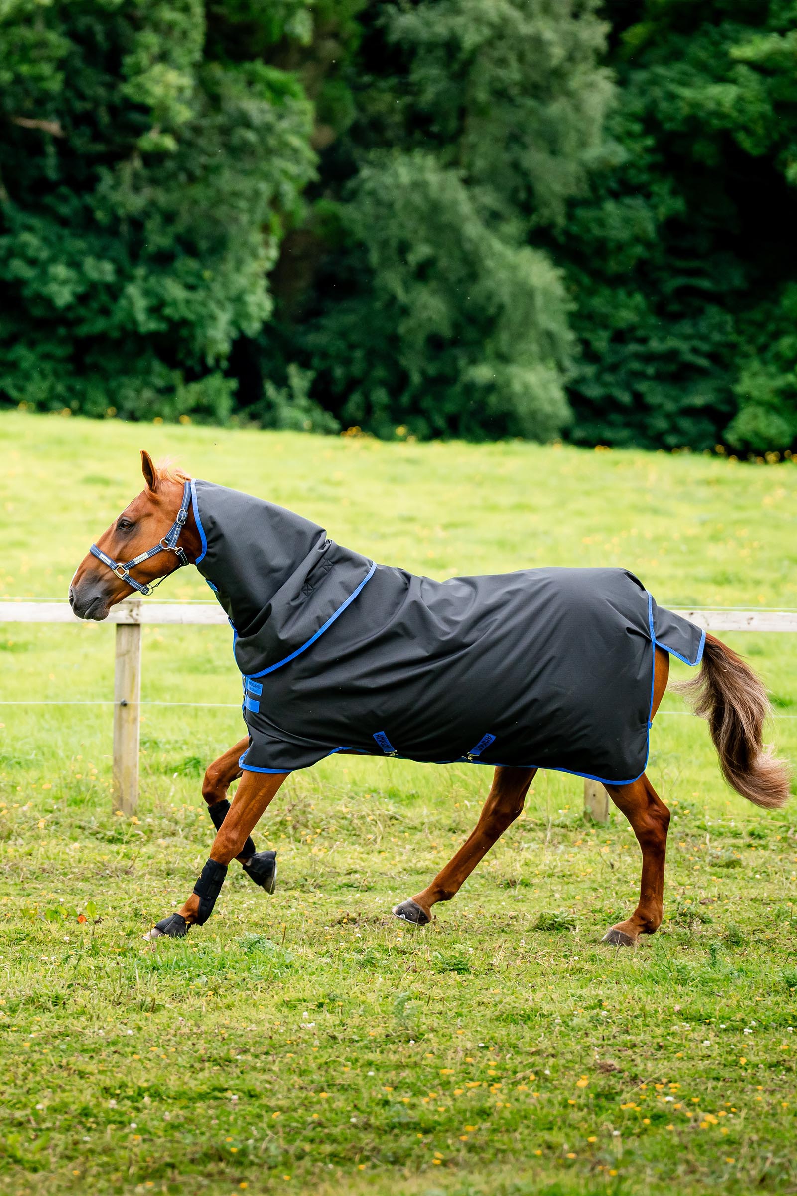 Horseware Amigo Ripstop 900D Plus coperta da turnout con collo staccabile, 100 g