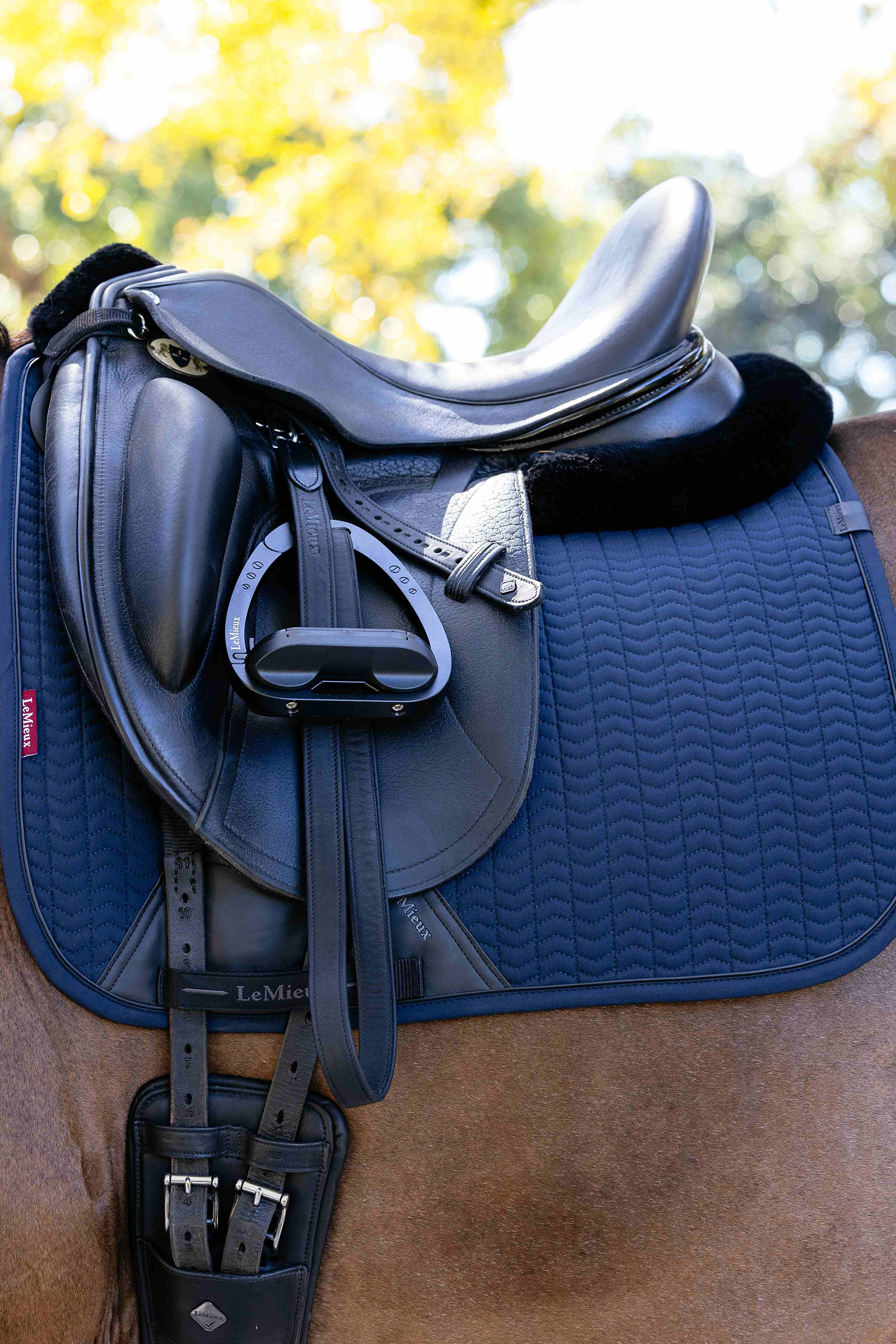 LeMieux Essence sottosella dressage