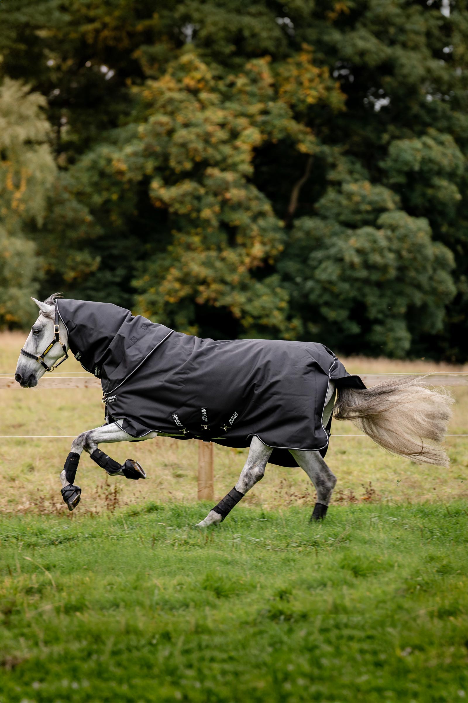 Horseware Amigo Super Bravo Plus coperta da paddock con collo staccabile, 250 g