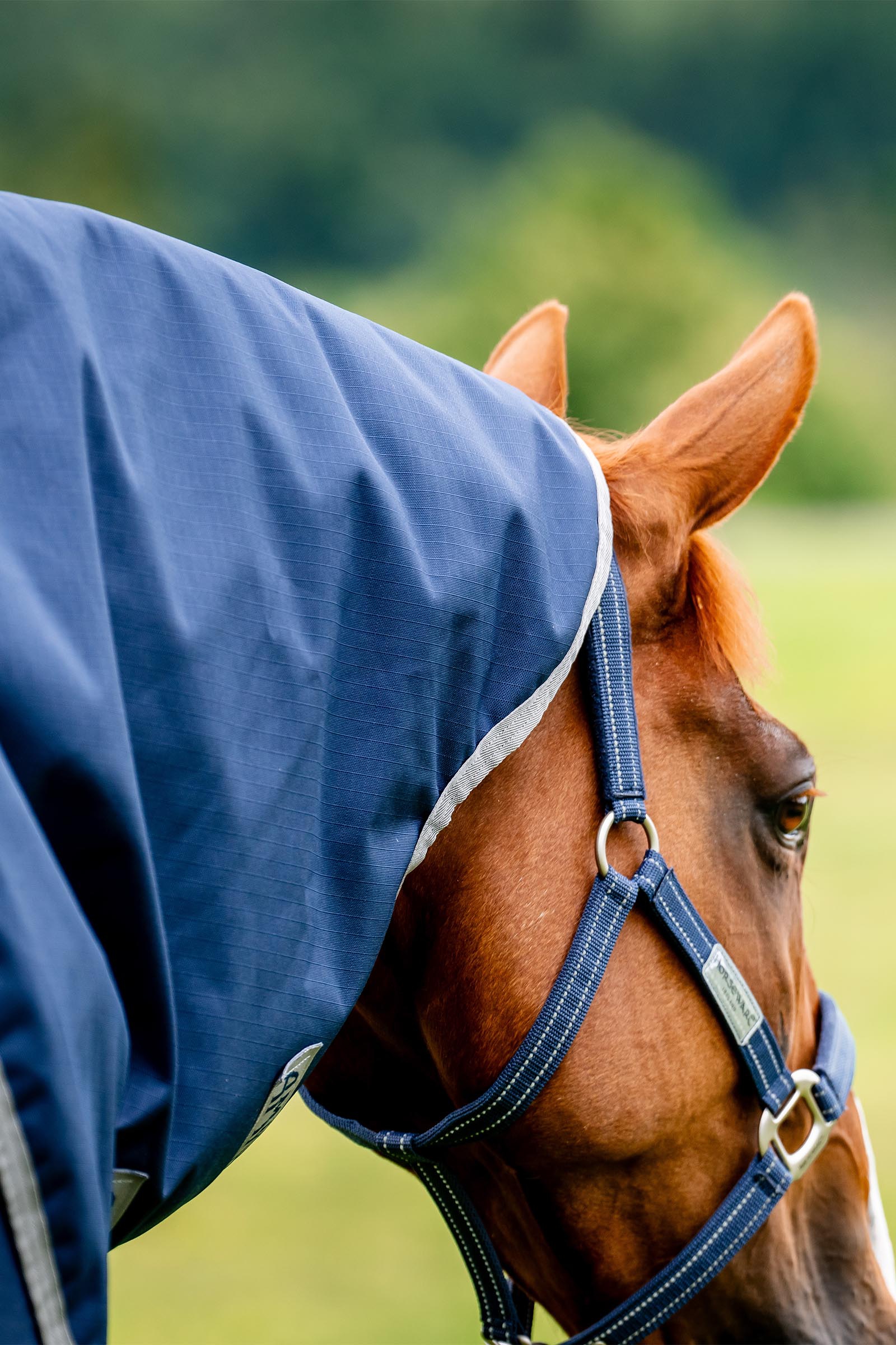 Horseware Amigo Ripstop 900D Plus coperta da turnout con collo staccabile, 100 g