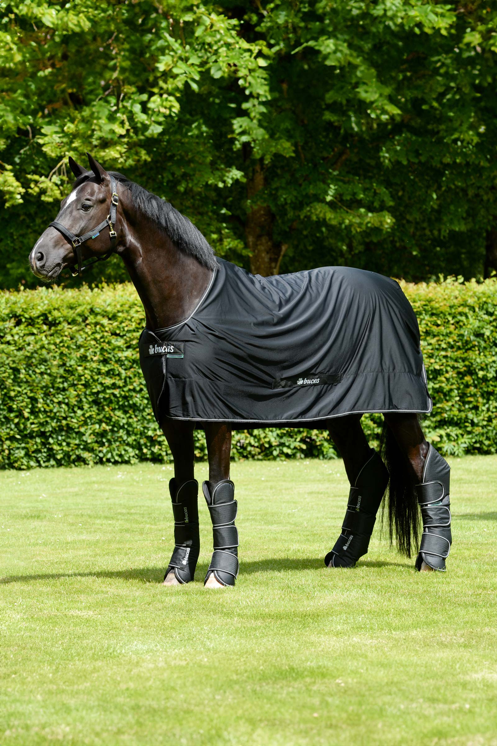 Bucas Freedom stivali da viaggio