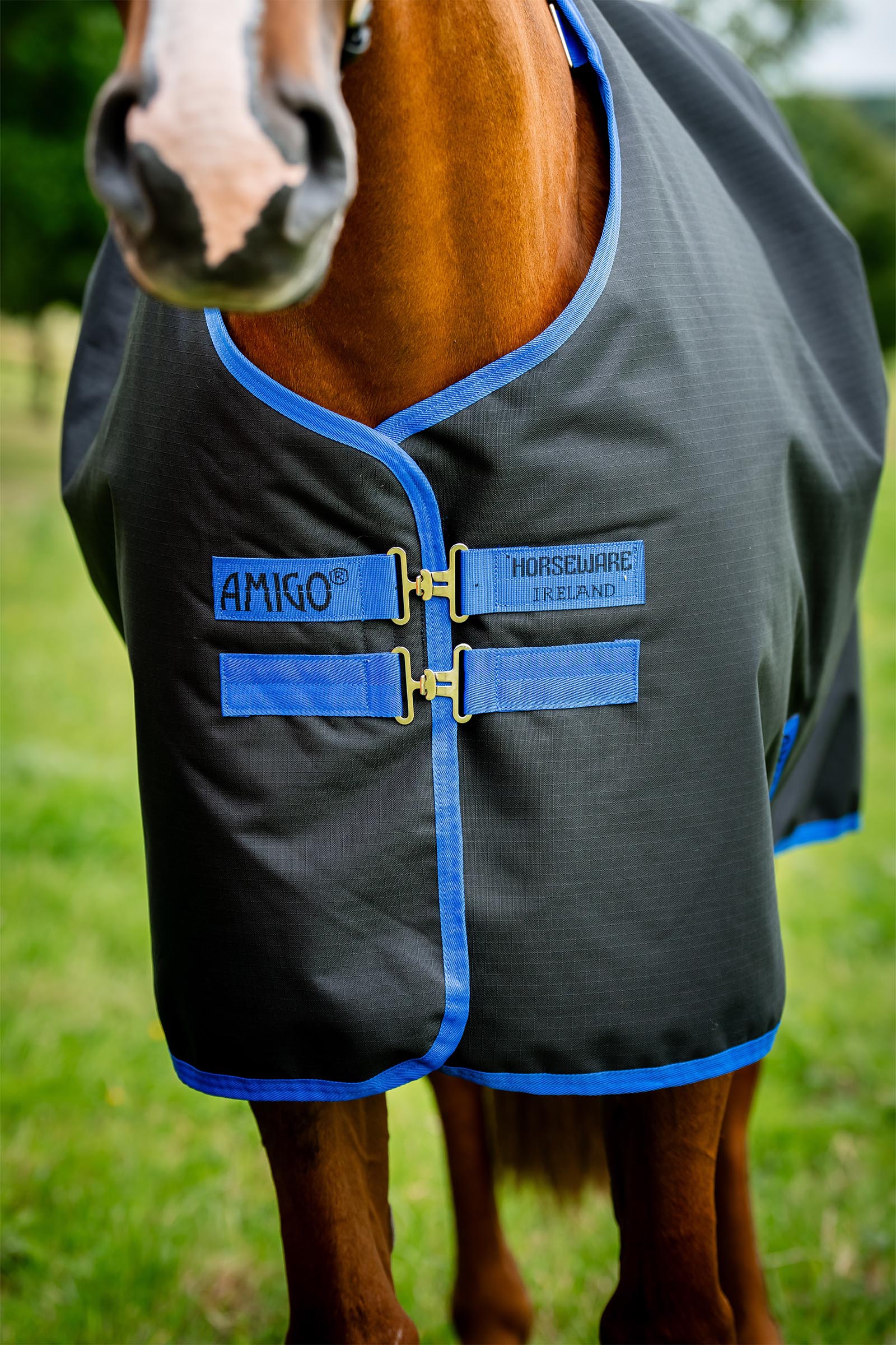 Horseware Amigo Ripstop 900D Plus coperta da turnout con collo staccabile, 100 g