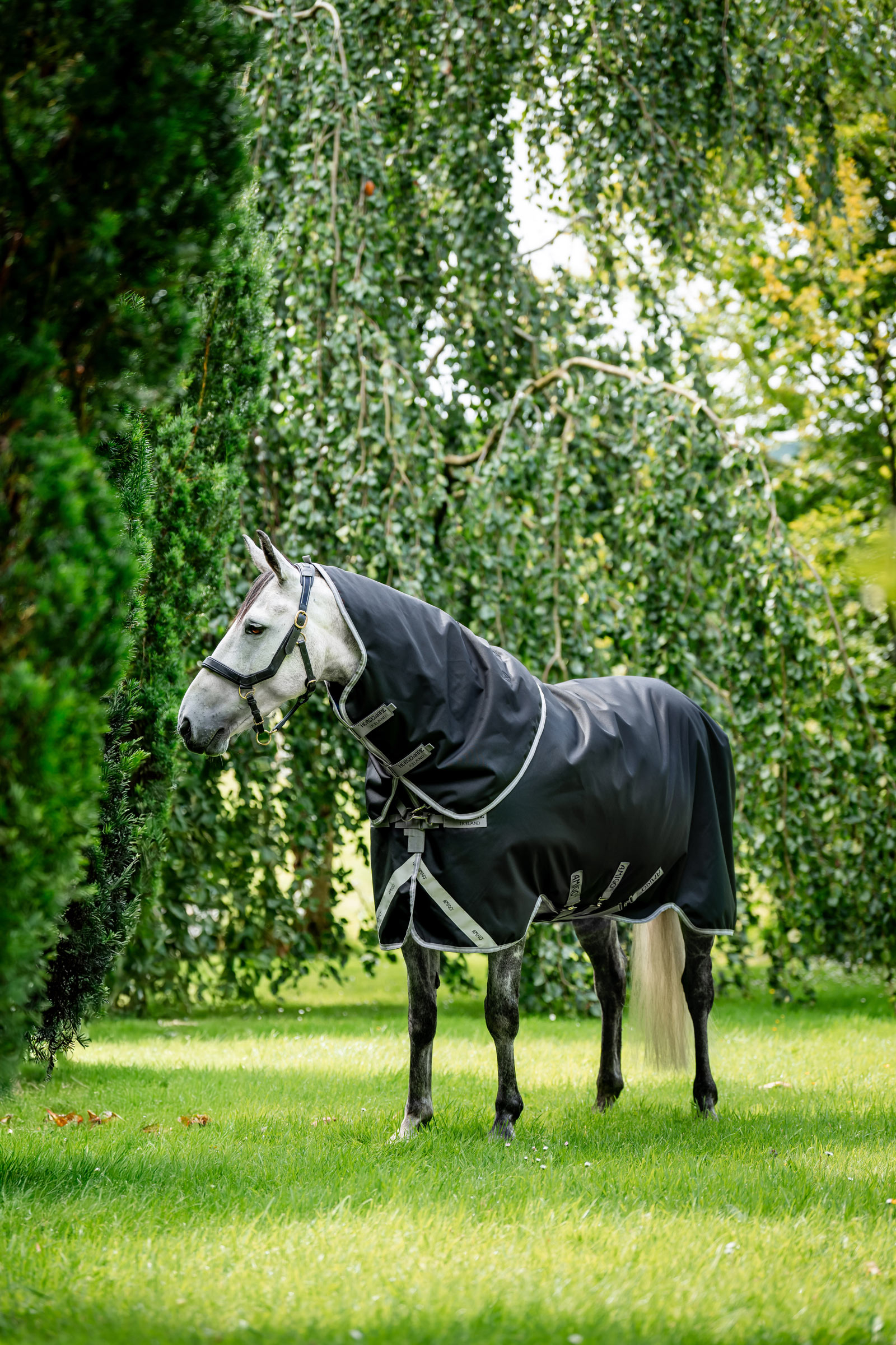 Black/Titanium Grey/Silver Horseware Amigo 1200D Plus coperta turnout, 50 g