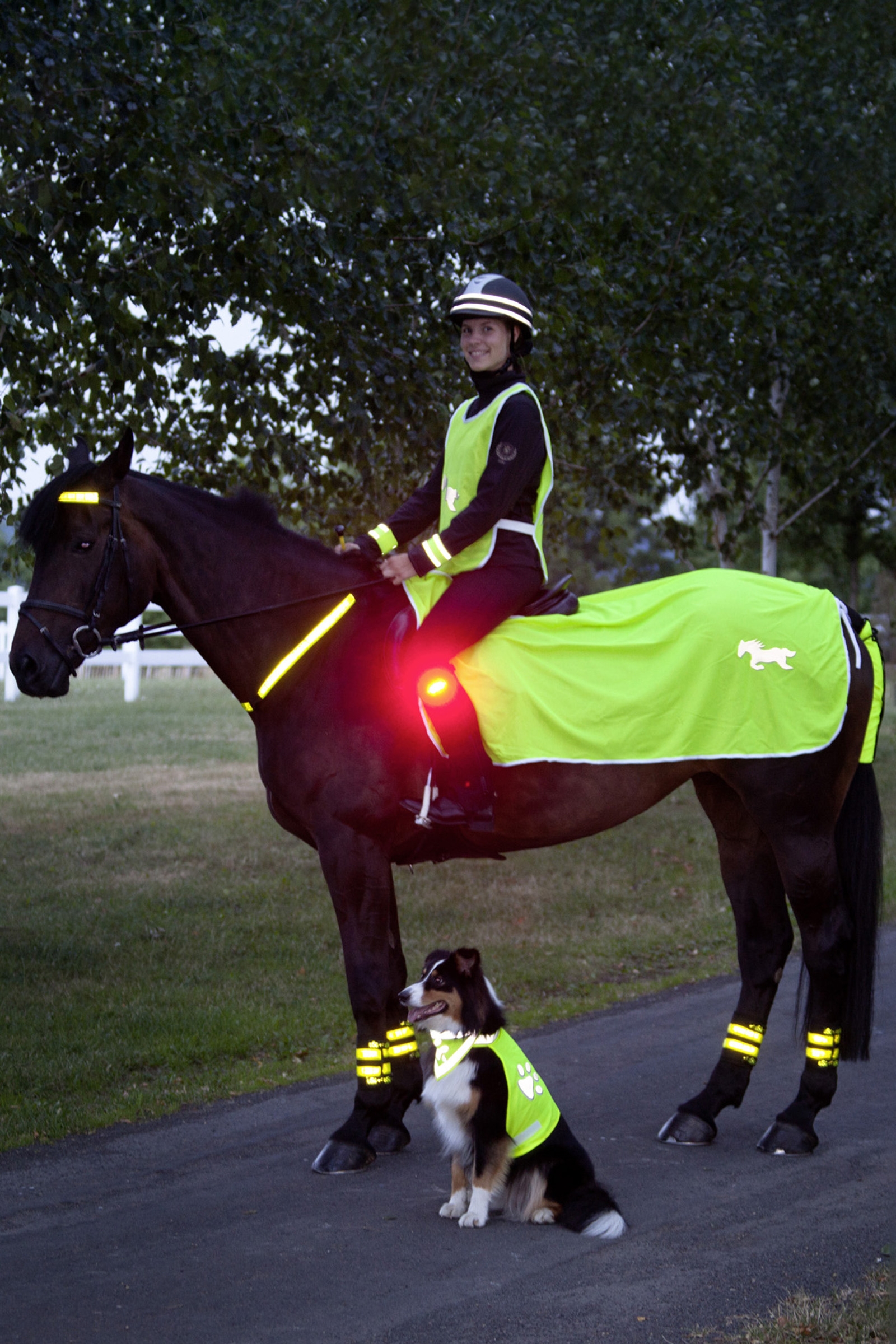 USG Coperta riflettente