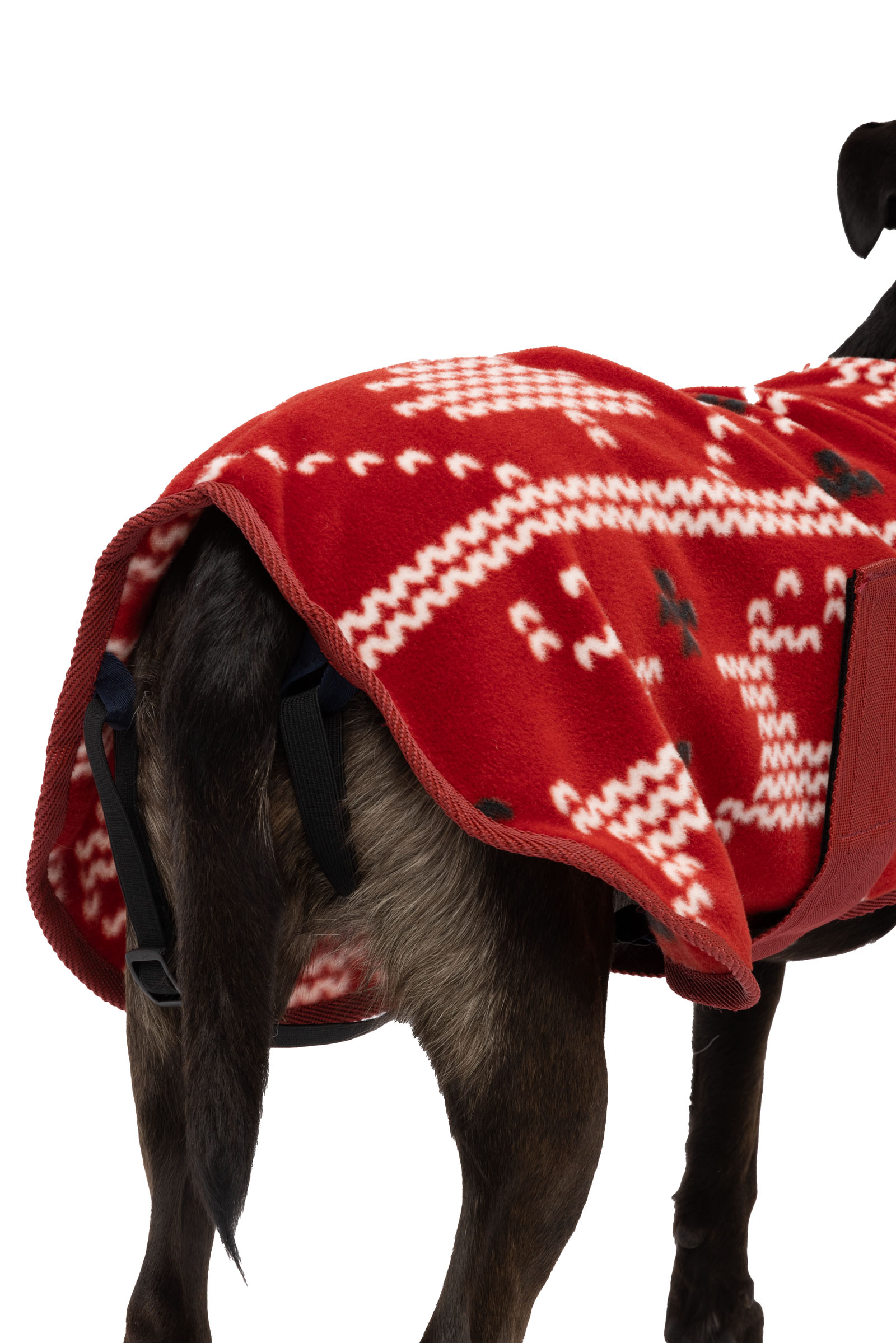 Maglione di Natale per cani Horze