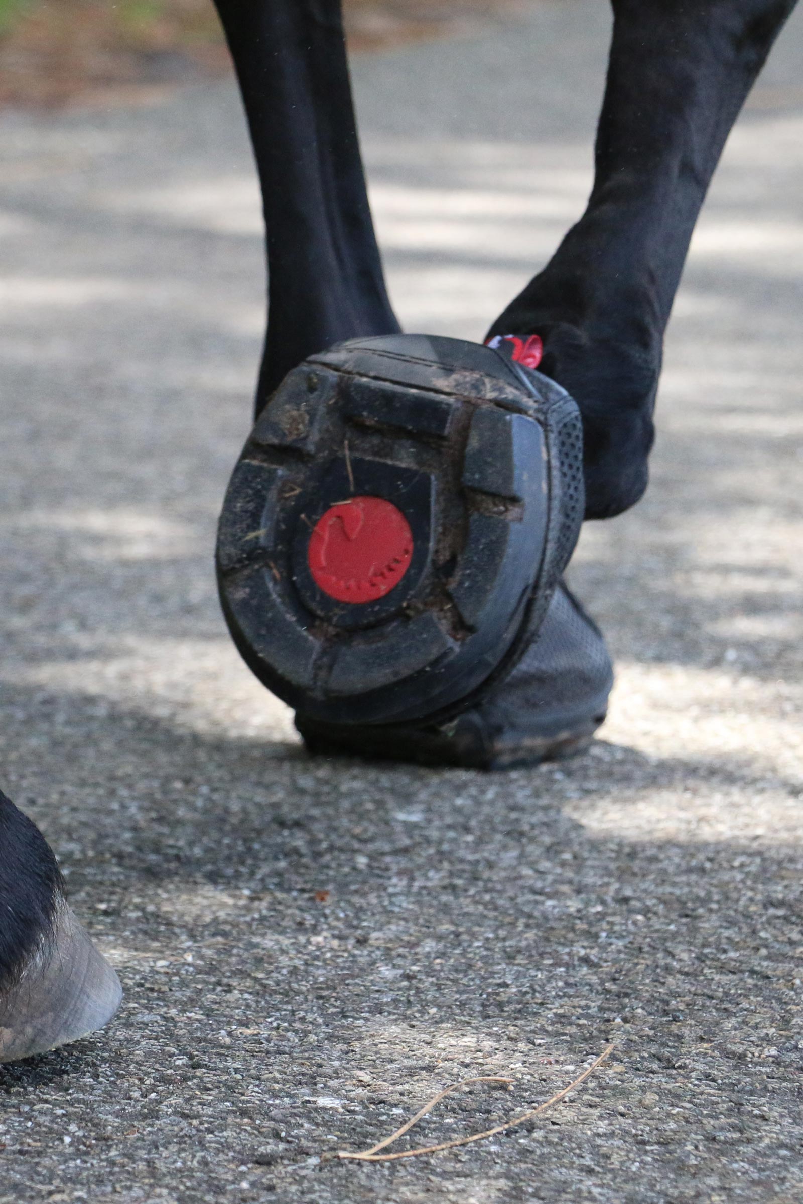 Cavallo Hoof Boots F.R.A. Trek Scarpa per cavalli (stretto/paio)