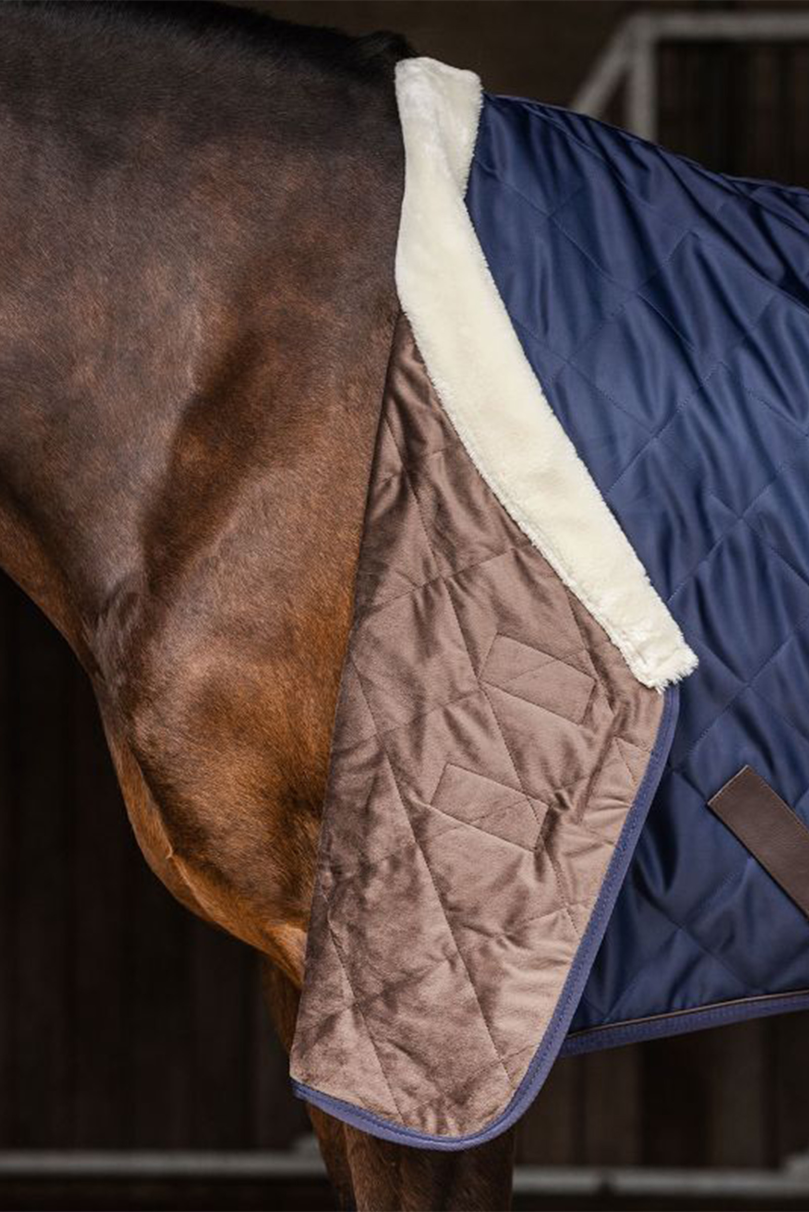 Waldhausen Exclusive Coperta da viaggio, 50g