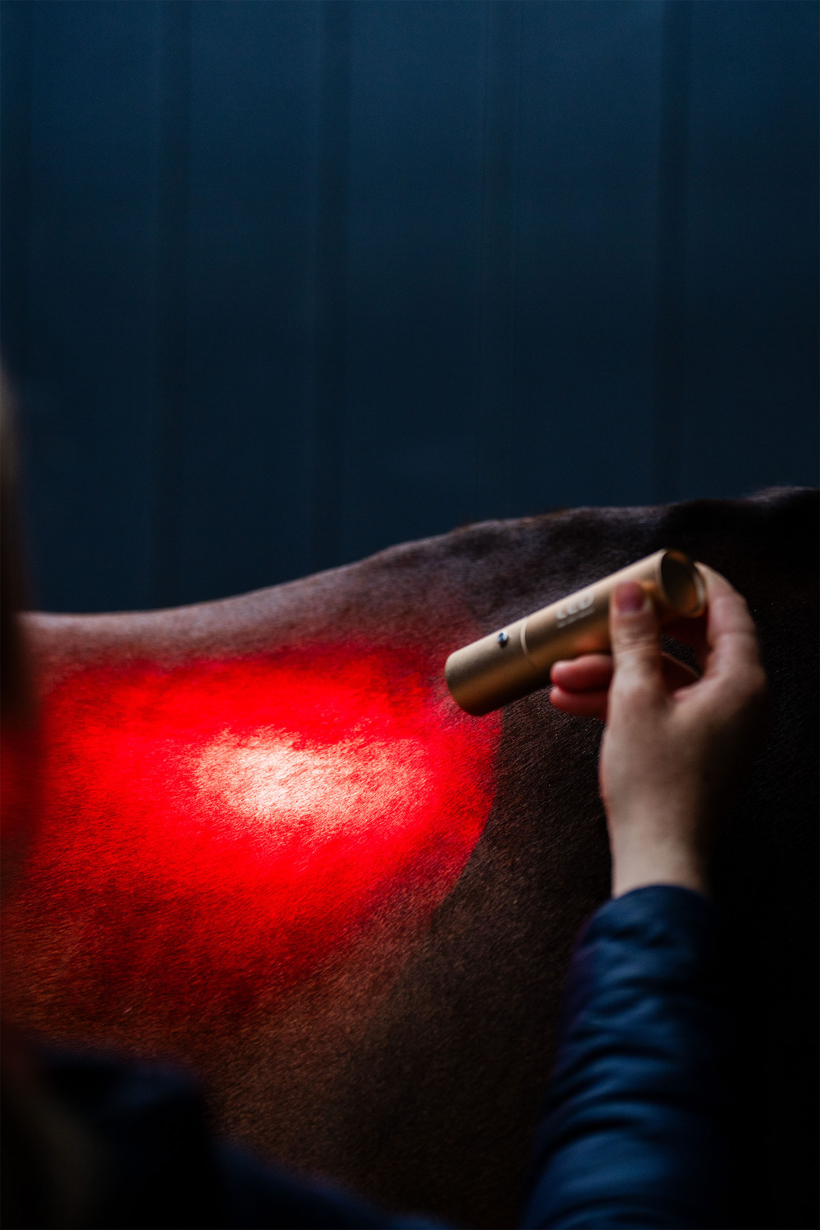Horseware Bacchetta terapeutica a LED con luce rossa