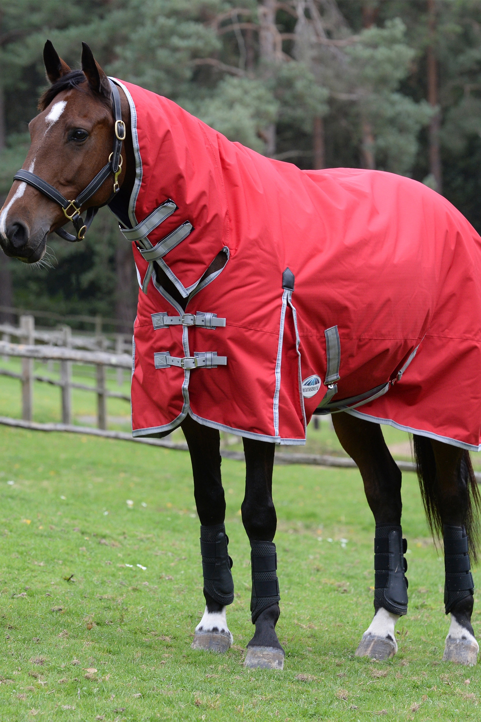 Weatherbeeta Comfitec Classic Coperte per cavalli con collo integrato, 50g