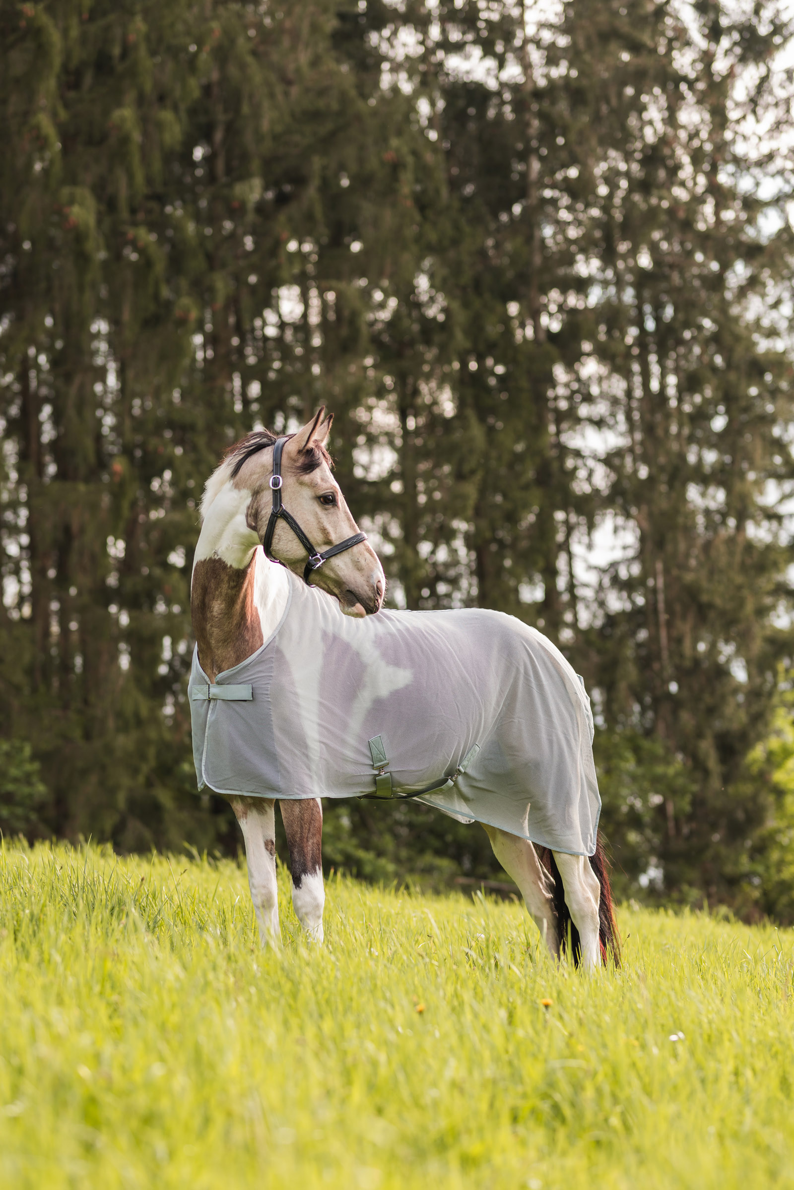 Horze Orleans Coperta antimosche