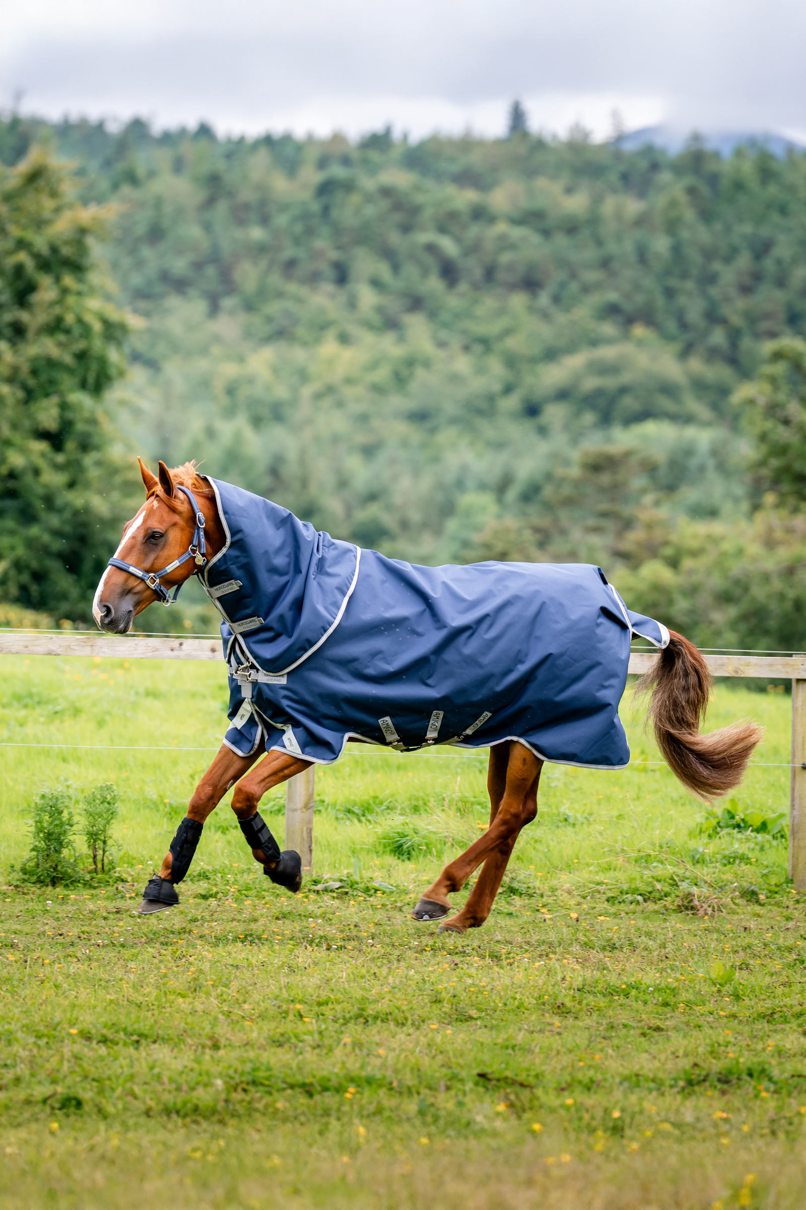 Horseware Amigo 1200D Plus coperta turnout, 50 g