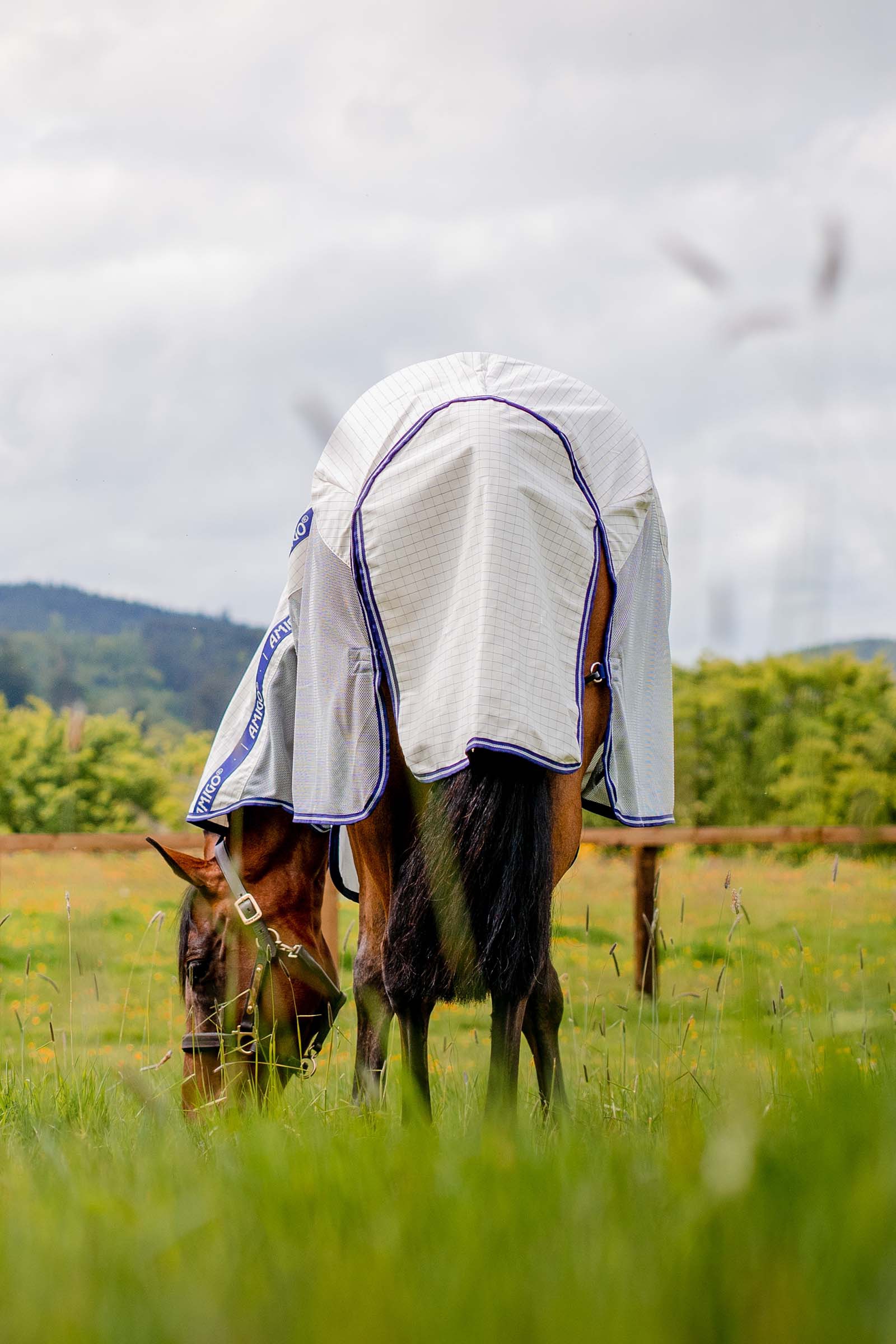 Horseware Amigo Airflow coperta anti-mosche con parte collo staccabile