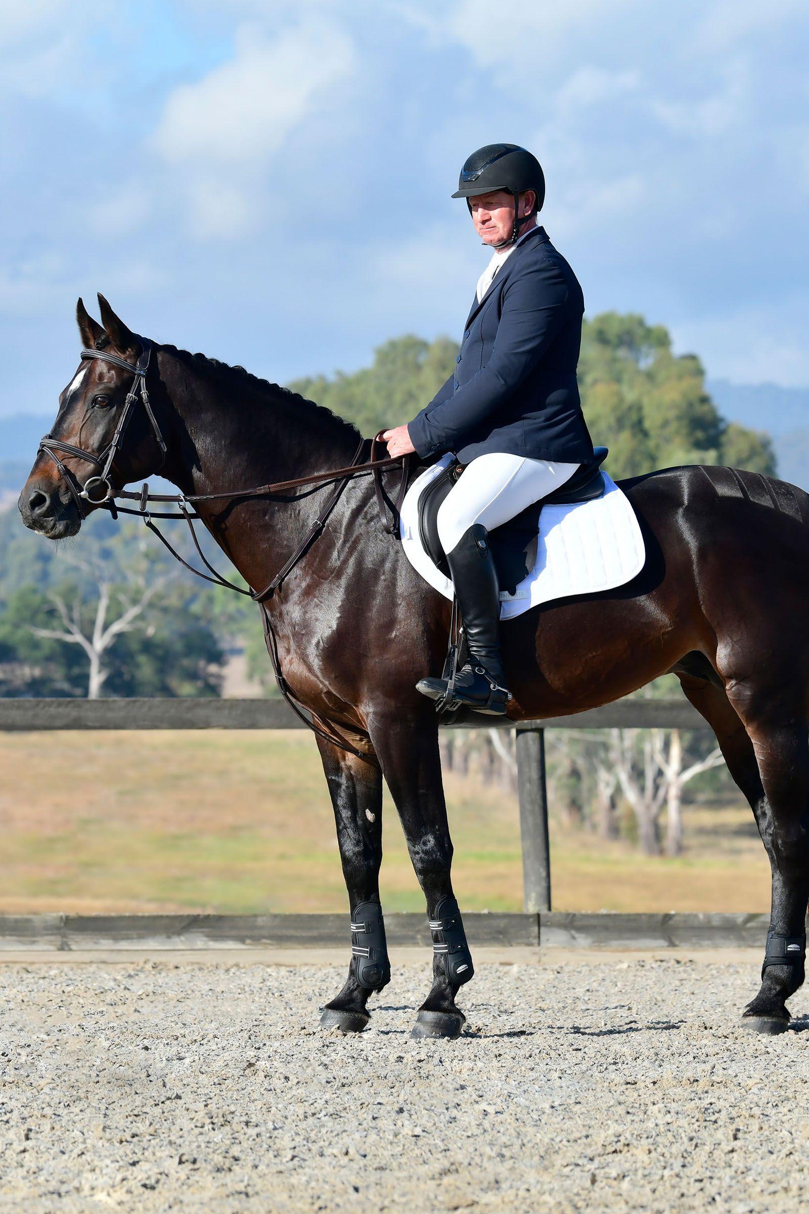 Collegiate Comfitec Opulux Fancy Stitch testiera hanoveriana imbottita