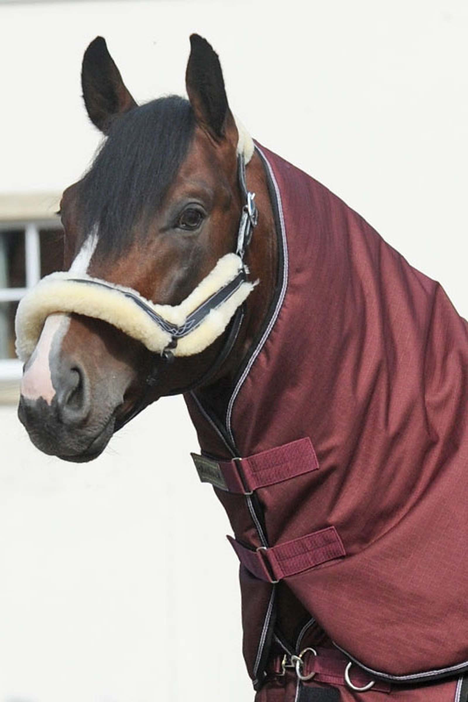 Collo Kavalkade per Alaska IV, 100 g