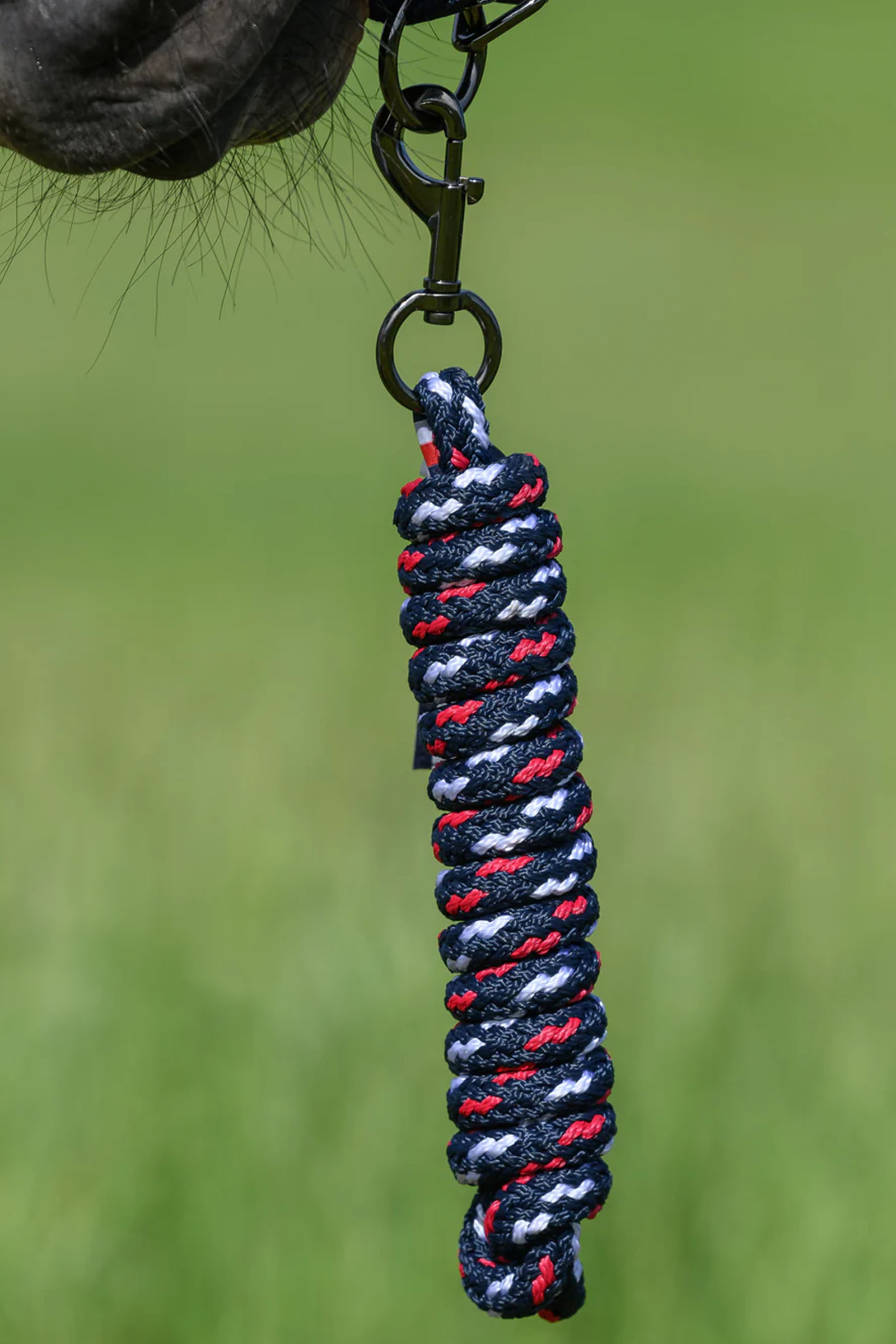 Tommy Hilfiger Equestrian Yale set cavezza e lunghina