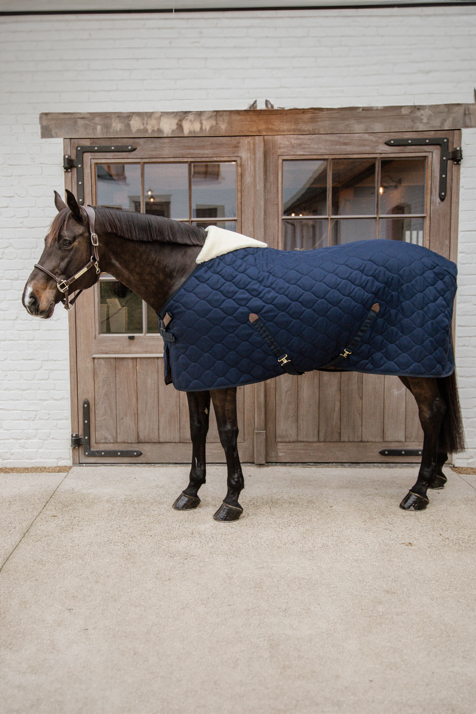 Kentucky Horsewear Comfort Coperta da stalla 100g