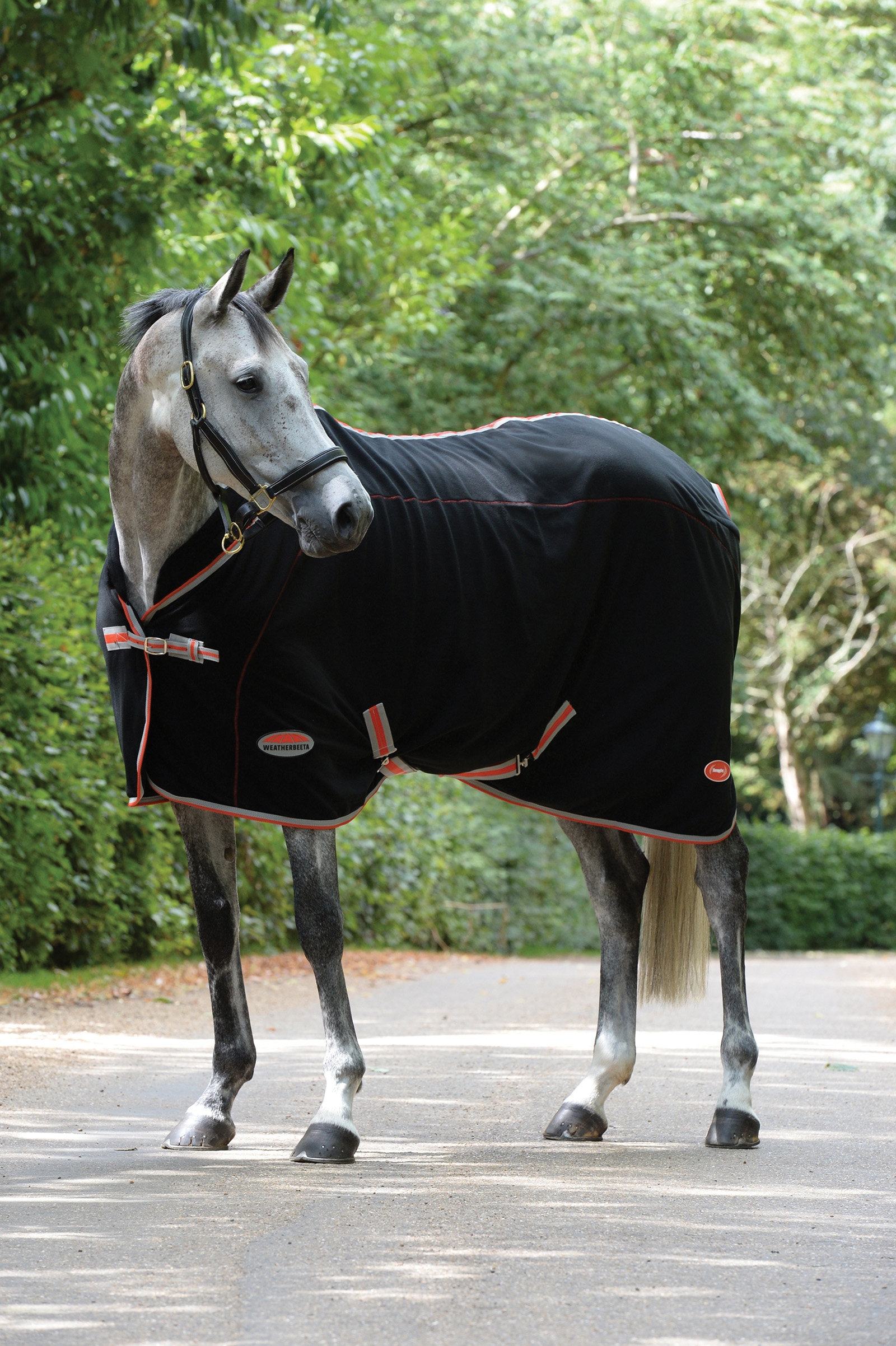 Weatherbeeta Therapy-Tec Coperta con collo standard