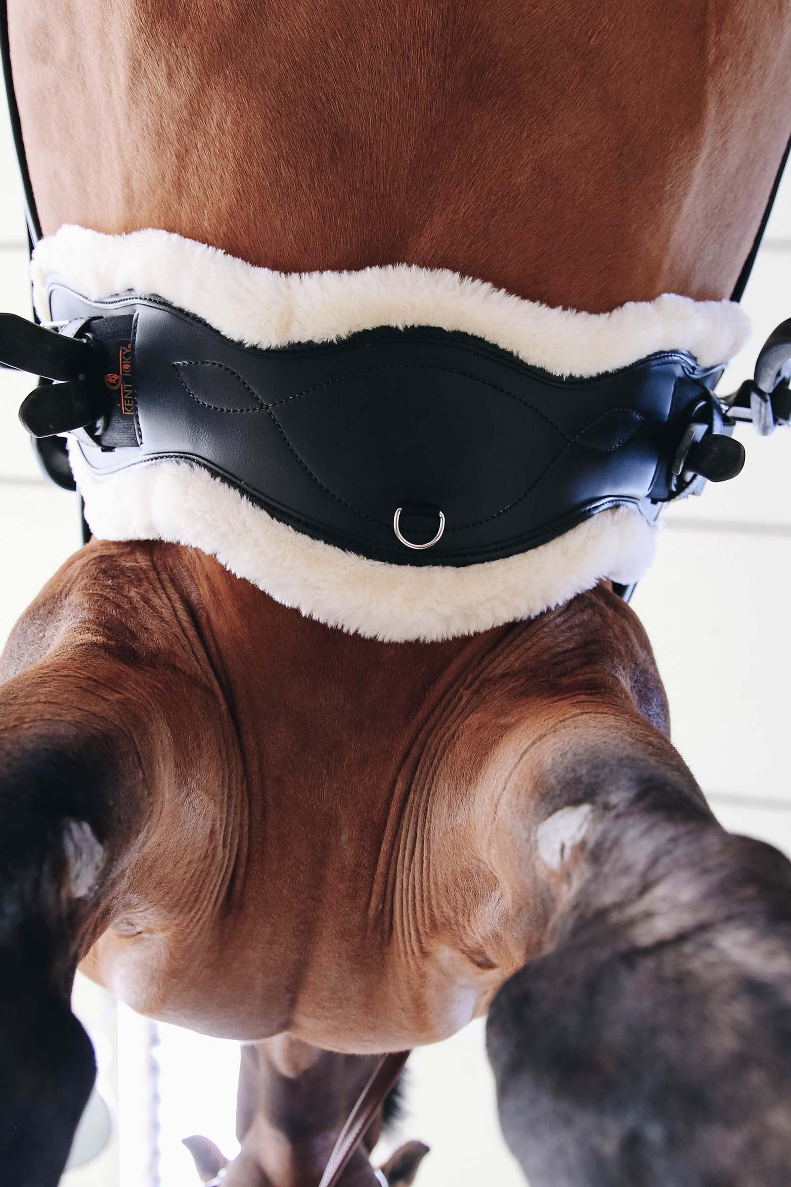 Kentucky Horsewear Sottopancia anatomico in pelle di montone