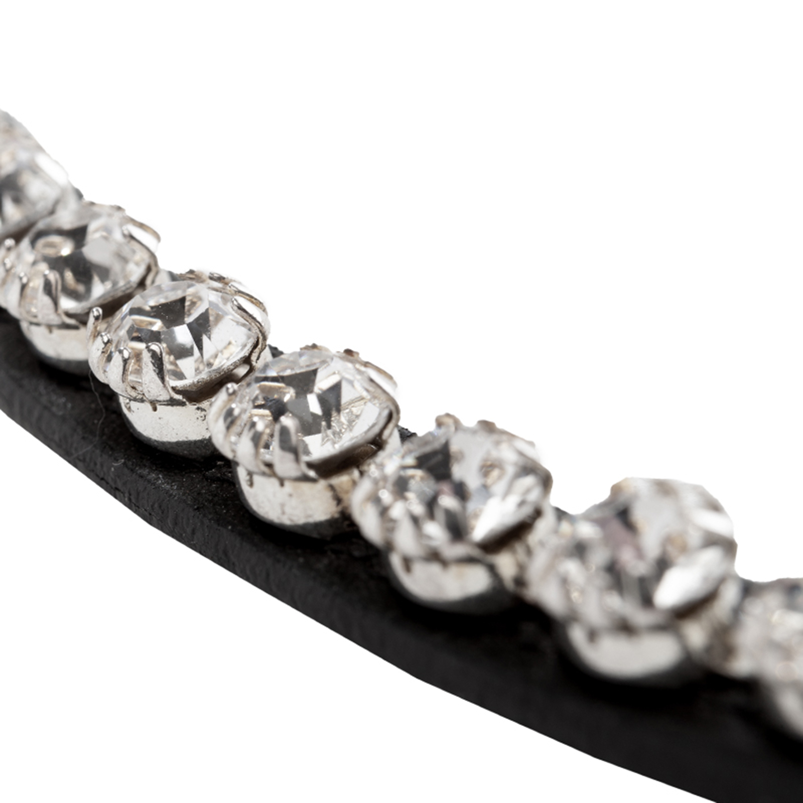 Kavalkade splendido frontalino