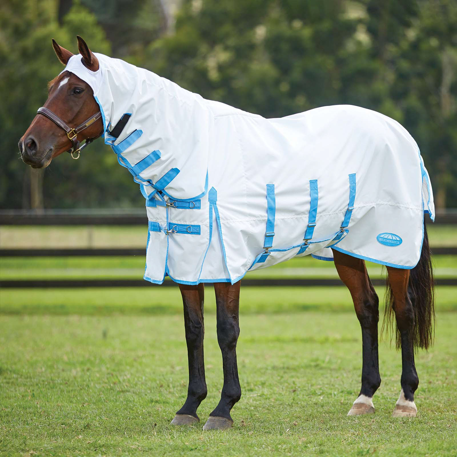 Weatherbeeta Comfitec coperta antidermatiti con collo fisso