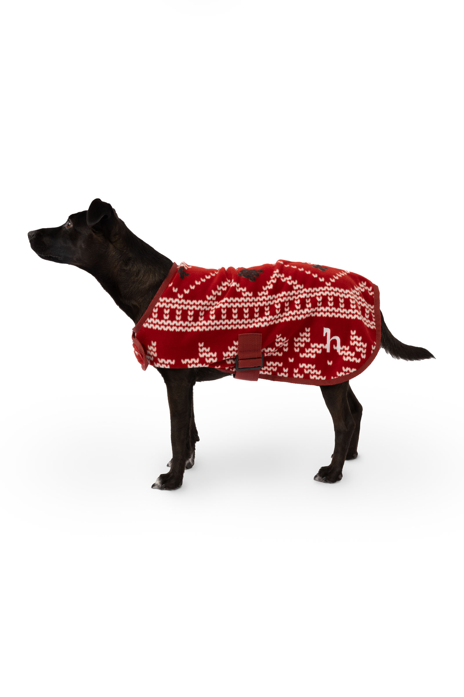 Maglione di Natale per cani Horze