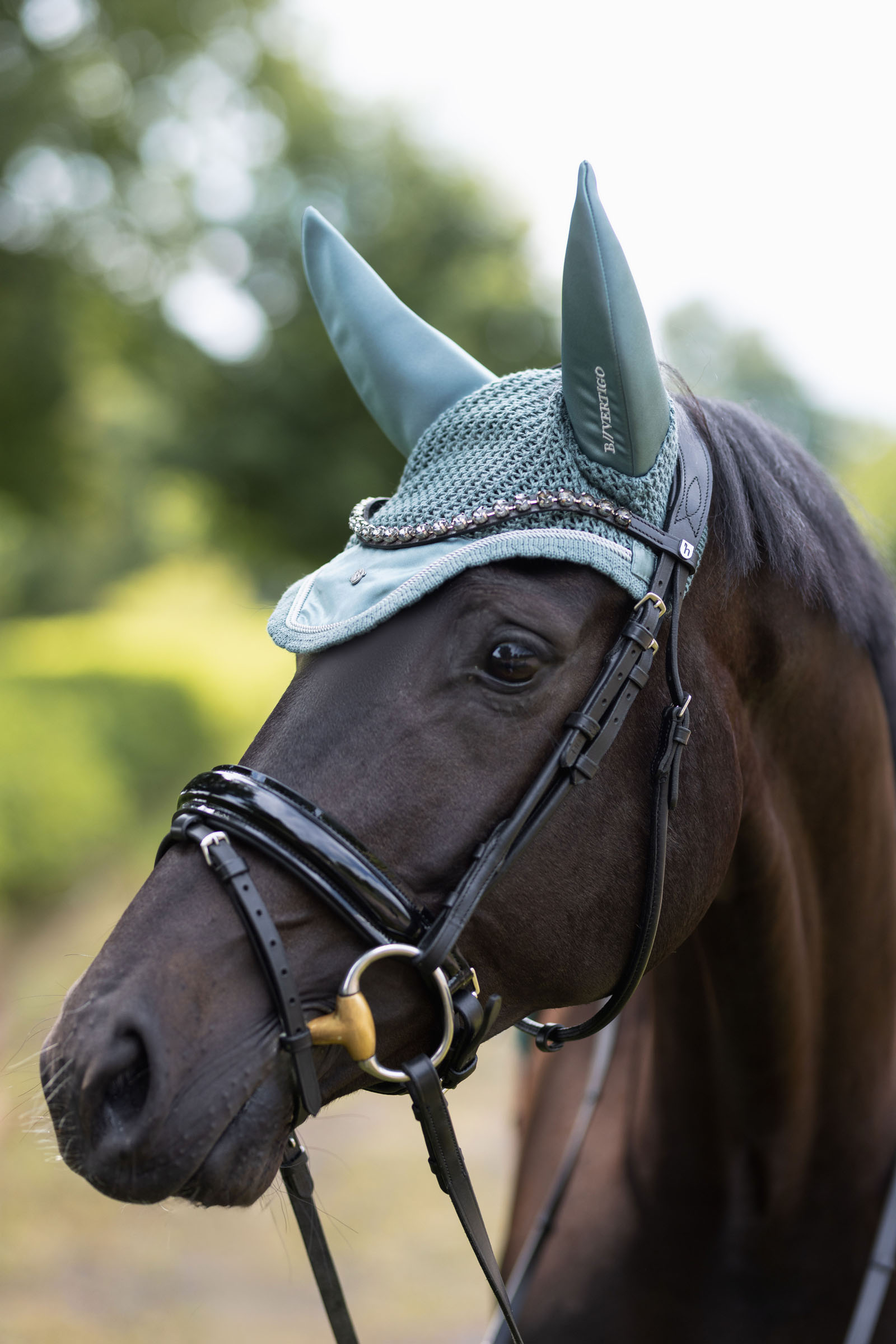 Cuffia per cavalli B Vertigo Pure Engineering