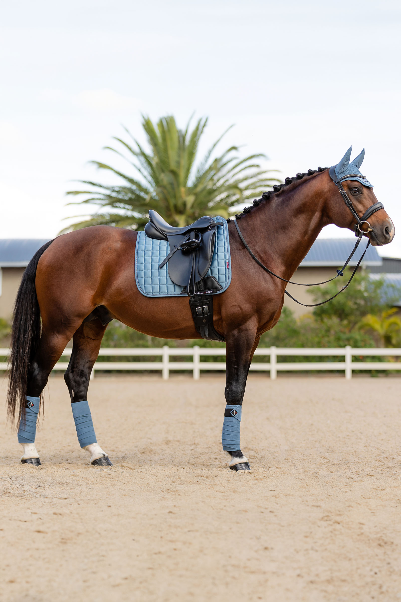 LeMieux Loire Memory Sottosella da dressage