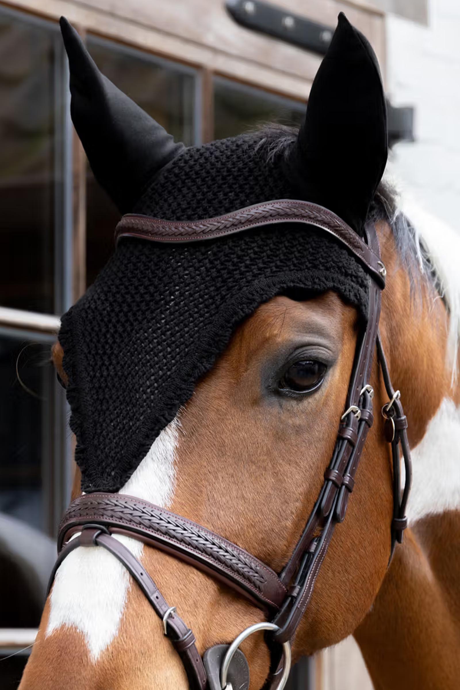 Kentucky cuffia antimosche lunga  