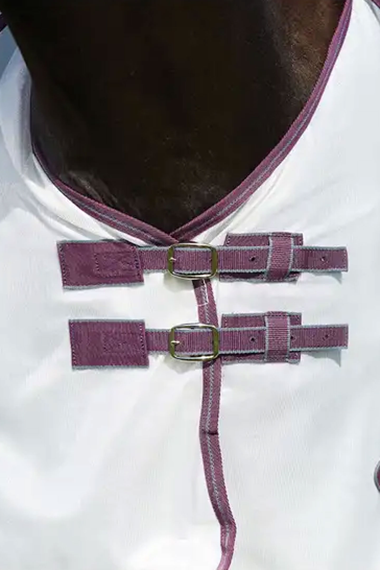 Weatherbeeta Comfitec Essential Rete II Coperta antimosche con collo inamovibile