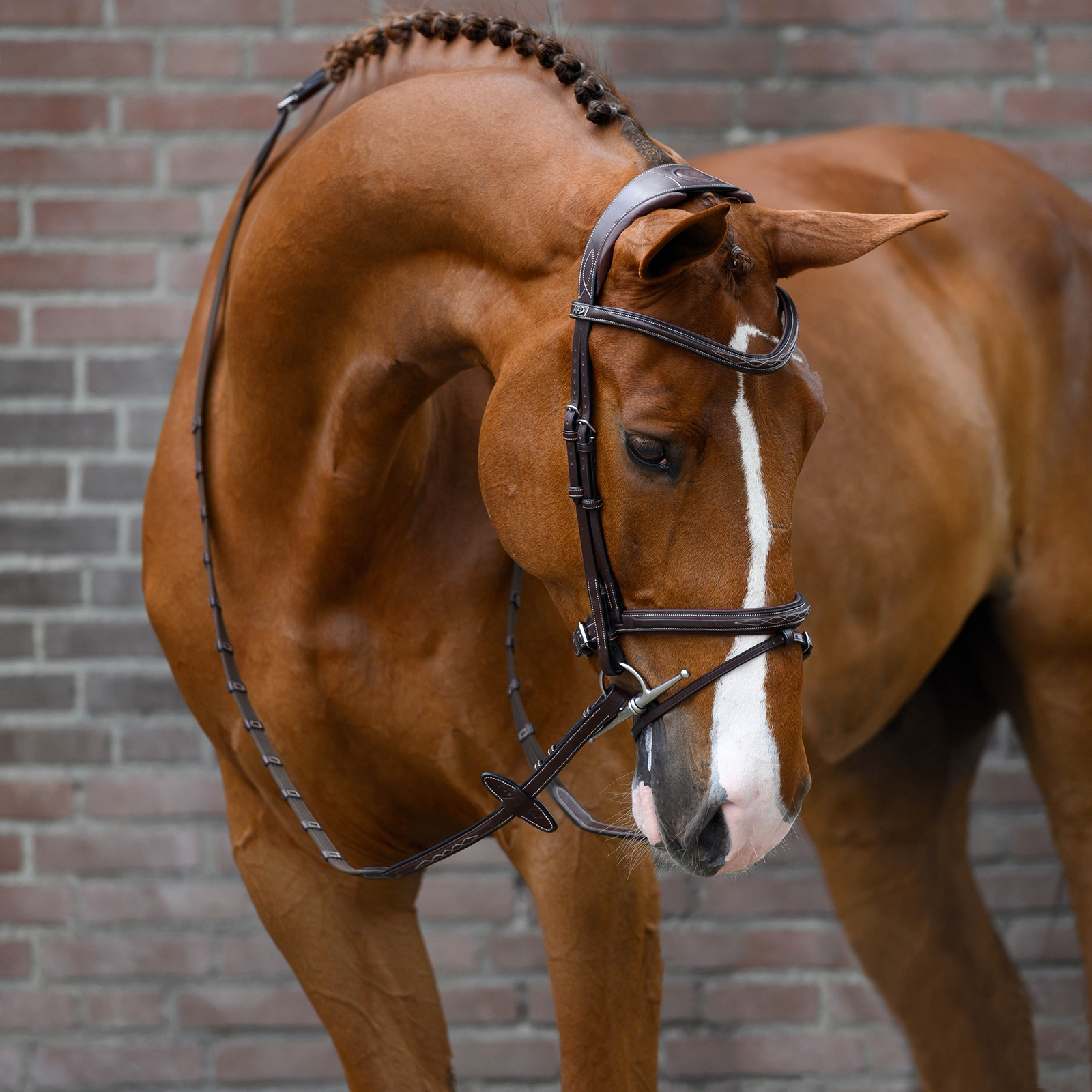 PS of Sweden Stockholm briglia