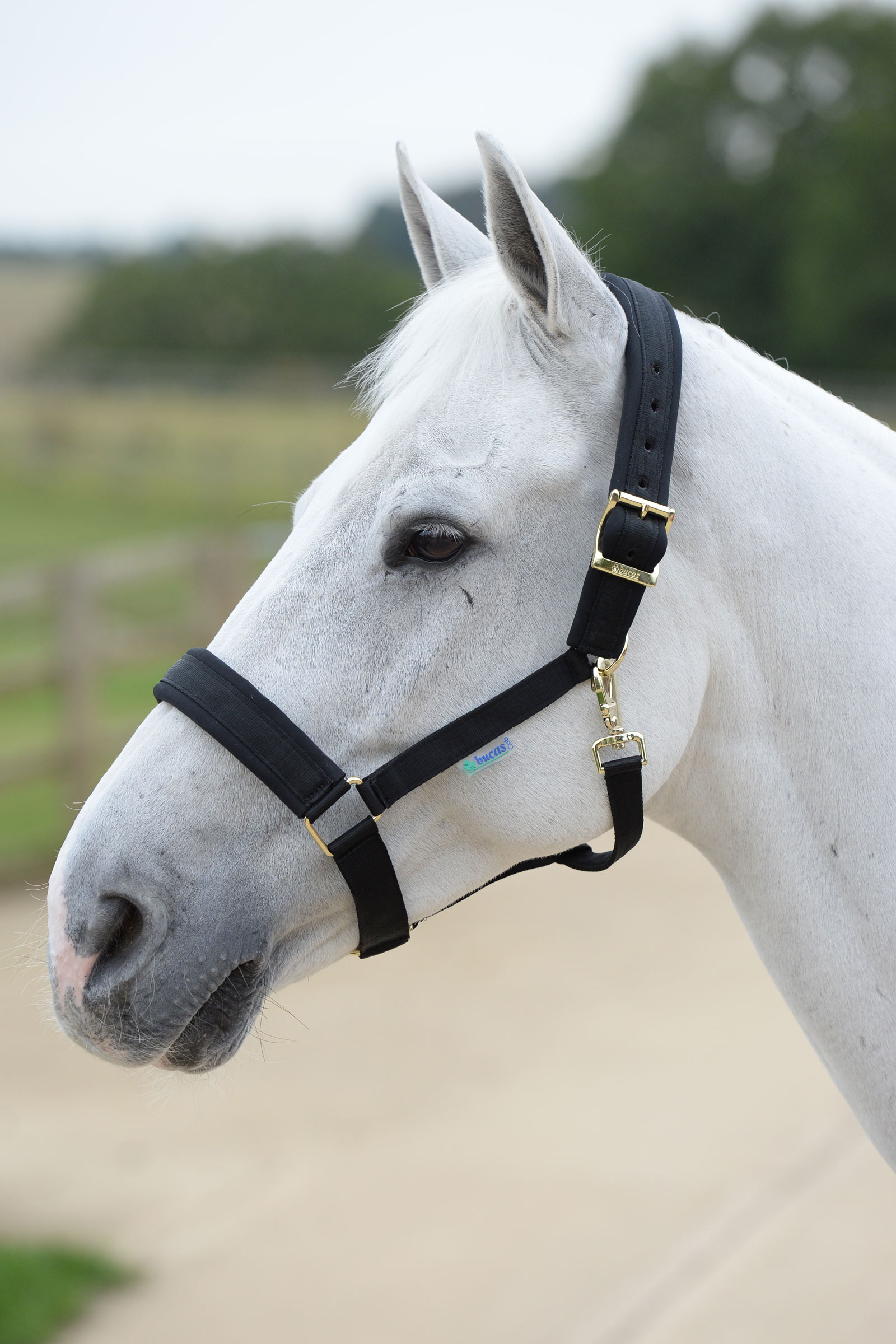 Bucas Comfort Capezza 