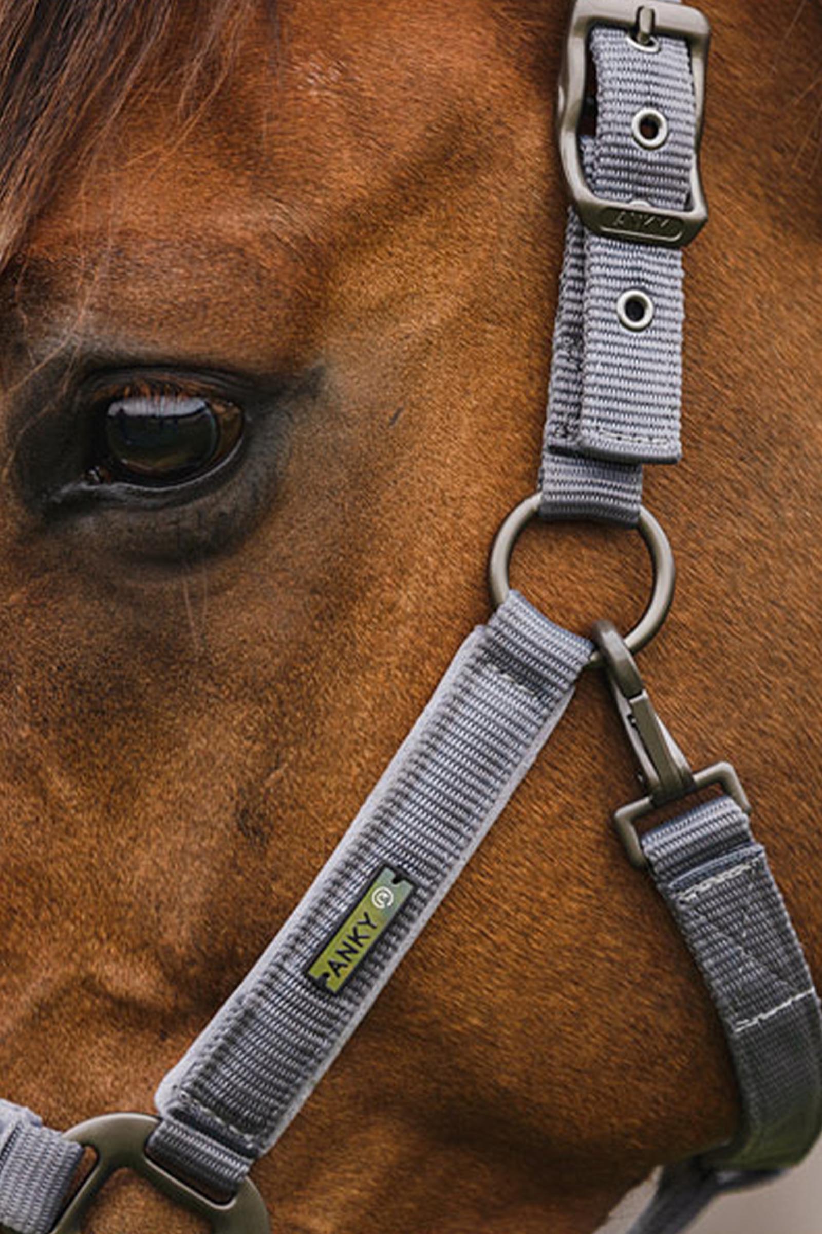 ANKY Stones Cavezza e longhina