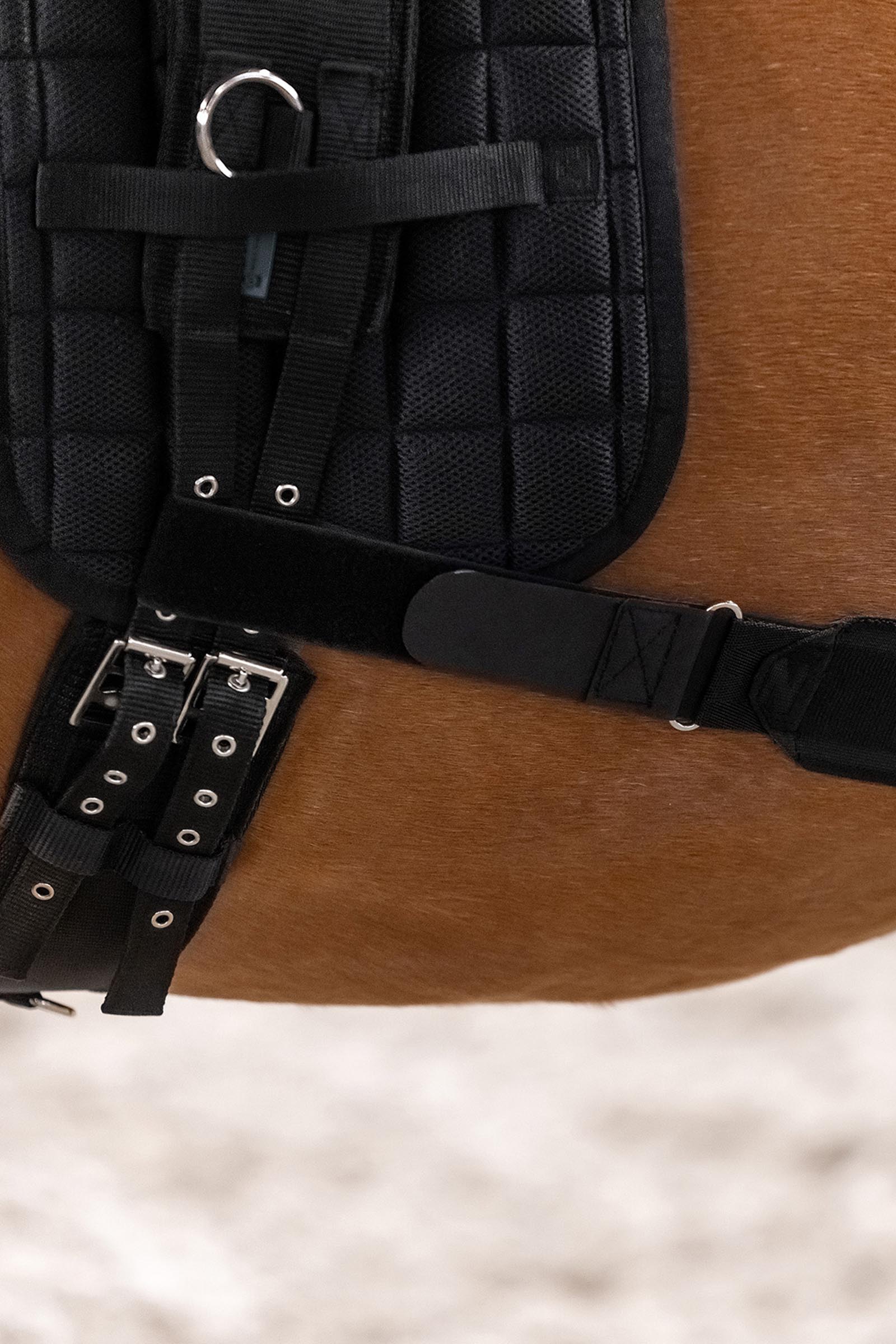 Waldhausen fascia body per attivazione del posteriore