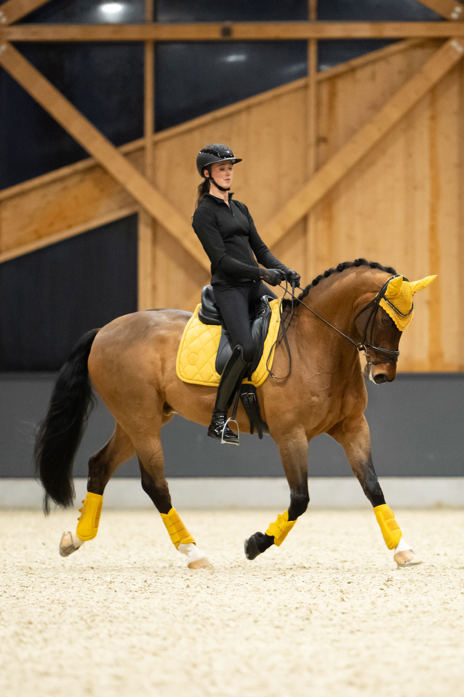 Eskadron Platinum 25 Paratendini in ecopelle