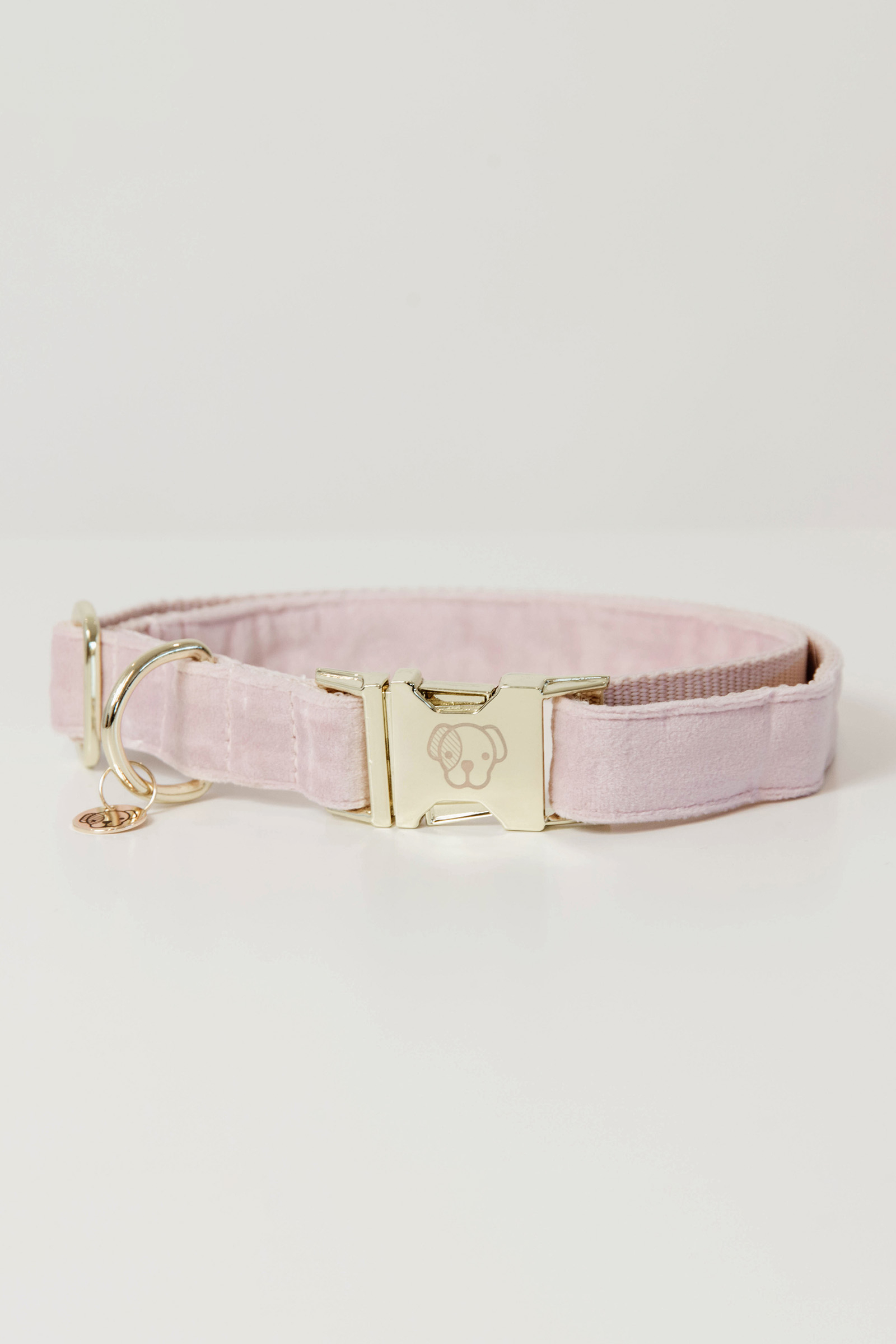 Light Pink Kentucky Dogwear Collare per cani in velluto