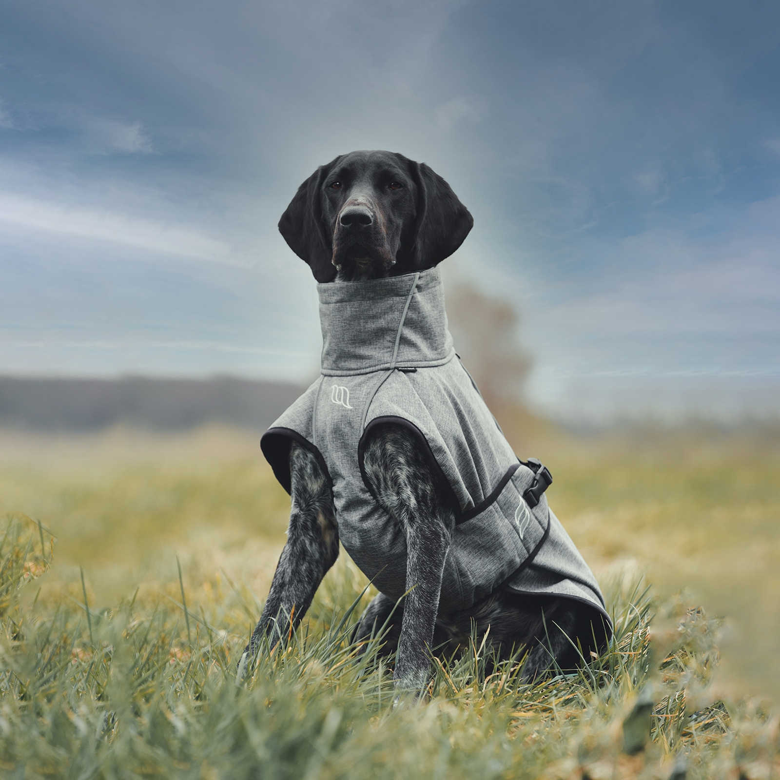 Back on Track Nella All-Round Dog Coat, 40-50cm