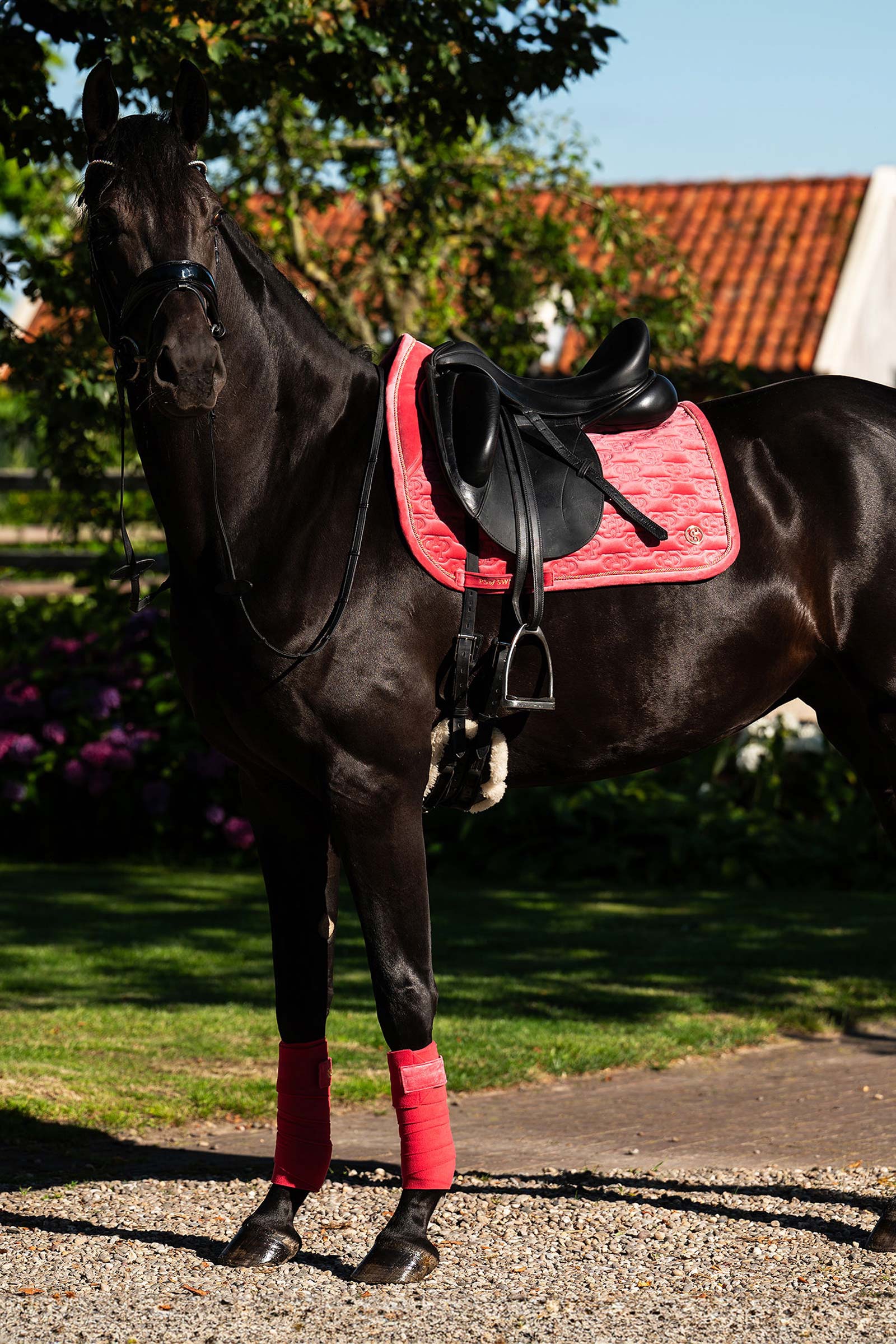 PS of Sweden sottosella Velvet Monogram dressage