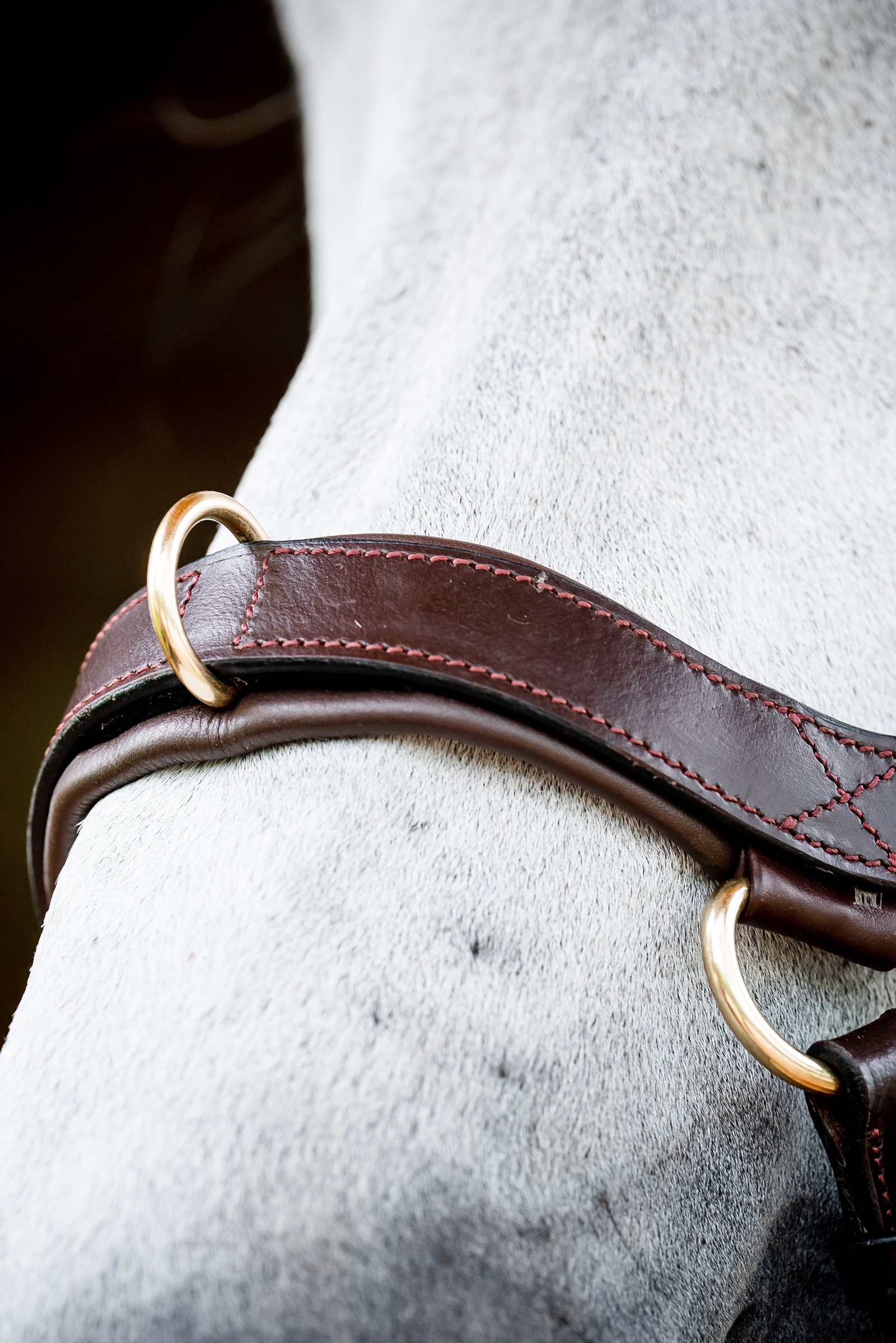 Horseware Micklem 2 Multi Briglia