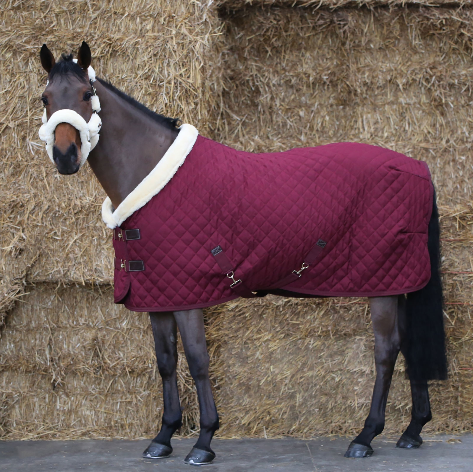 Dark Red Tappeto Kentucky Horsewear Show, 160 g