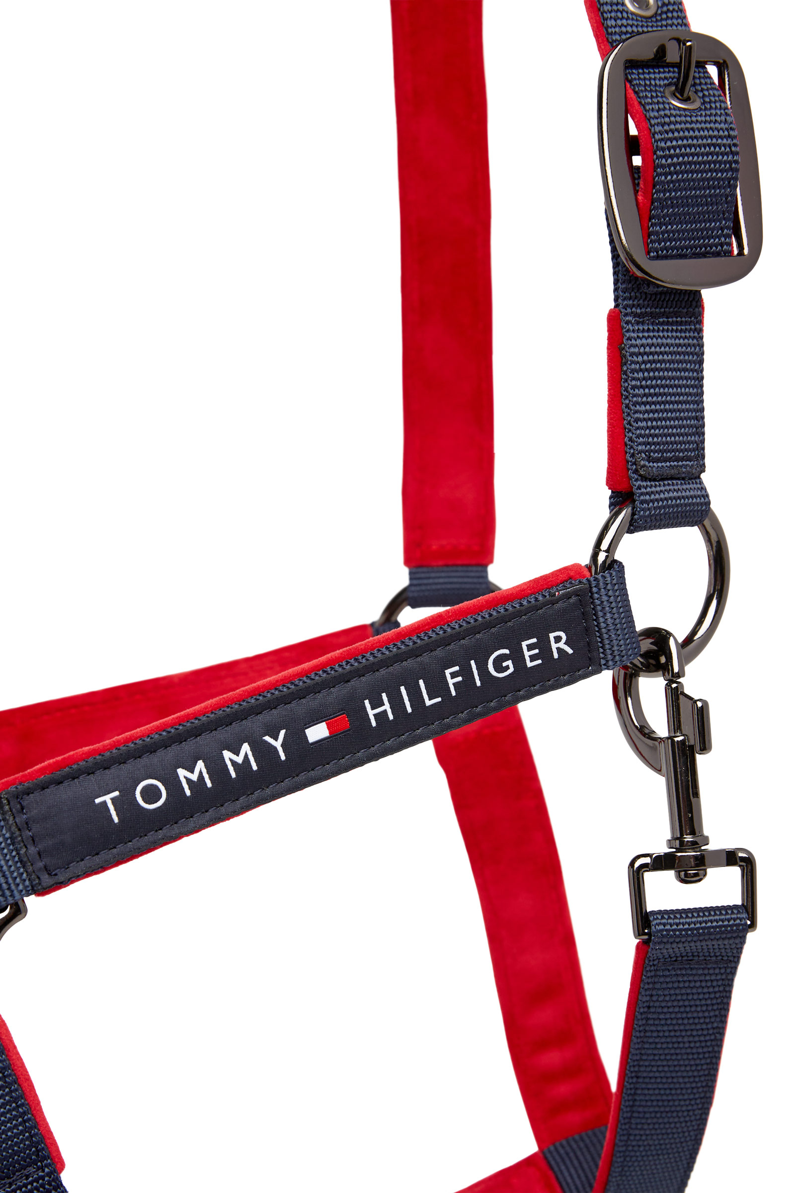 Tommy Hilfiger Equestrian GLOBAL Cavezza