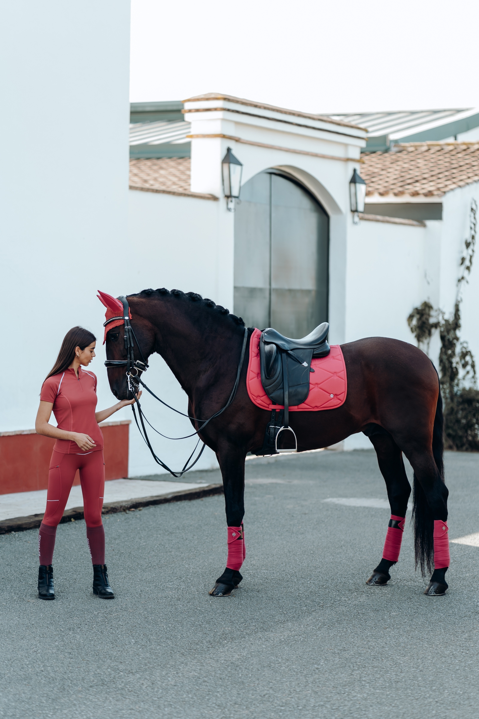 B Vertigo Laurel Sottosella da dressage