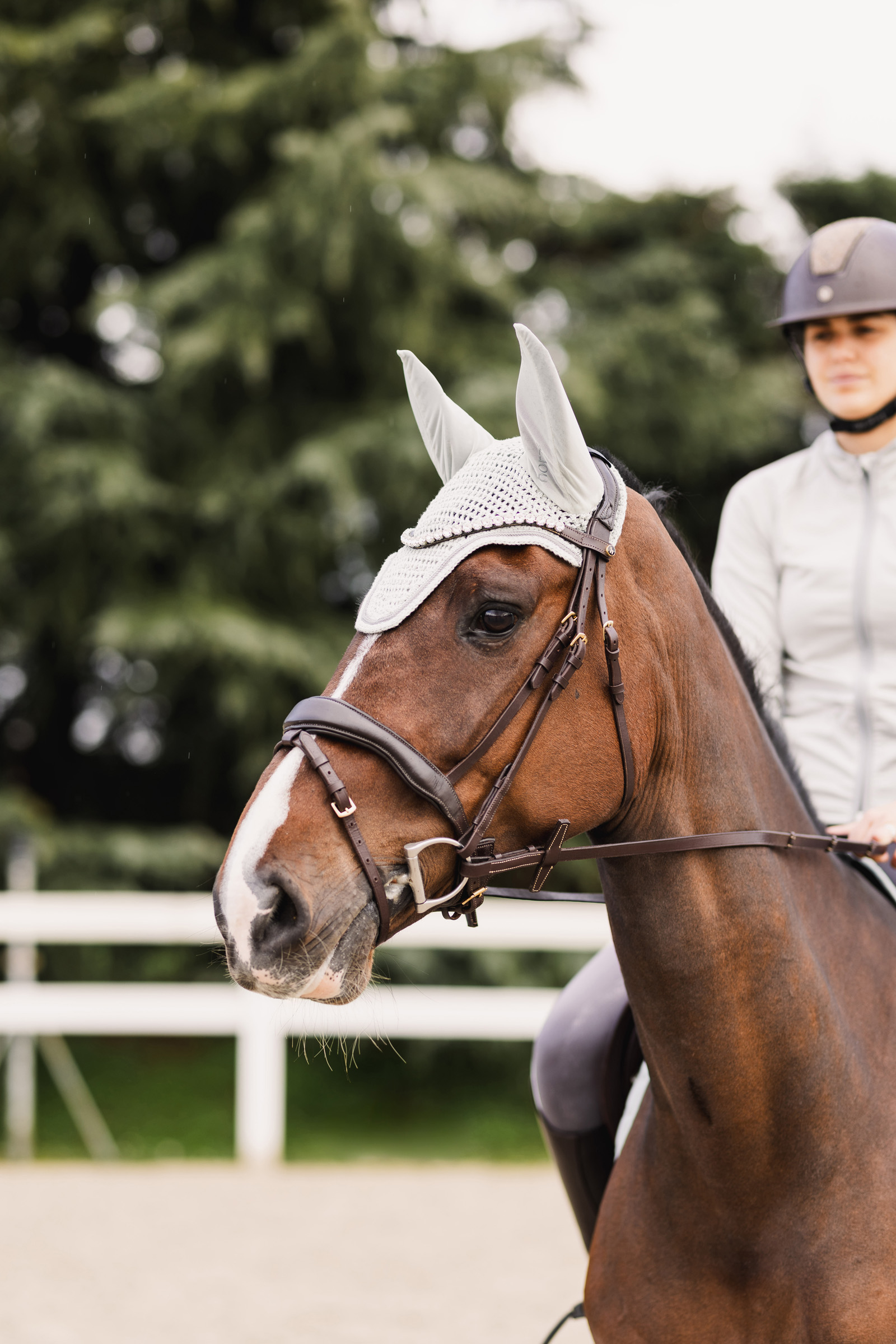 Horze Cappuccio antimosche Rose Tonique