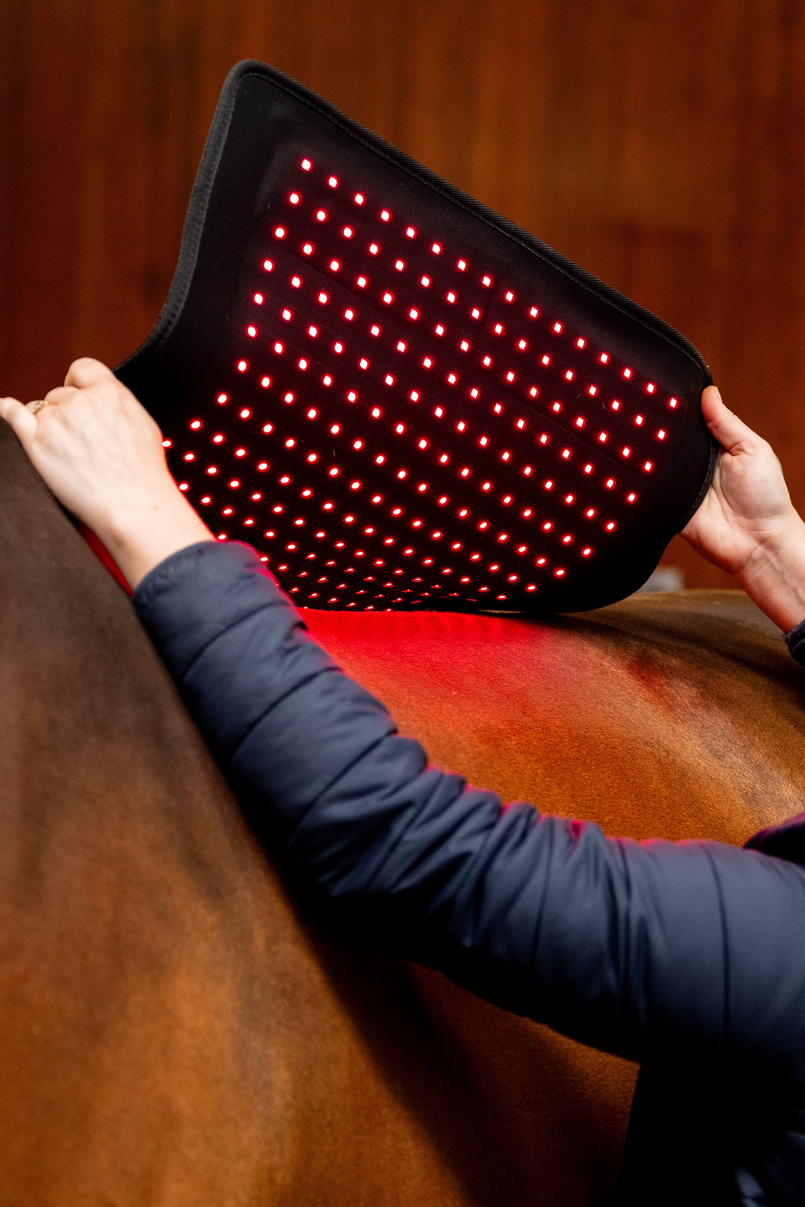 Horseware Pad terapeutico a LED con luce rossa