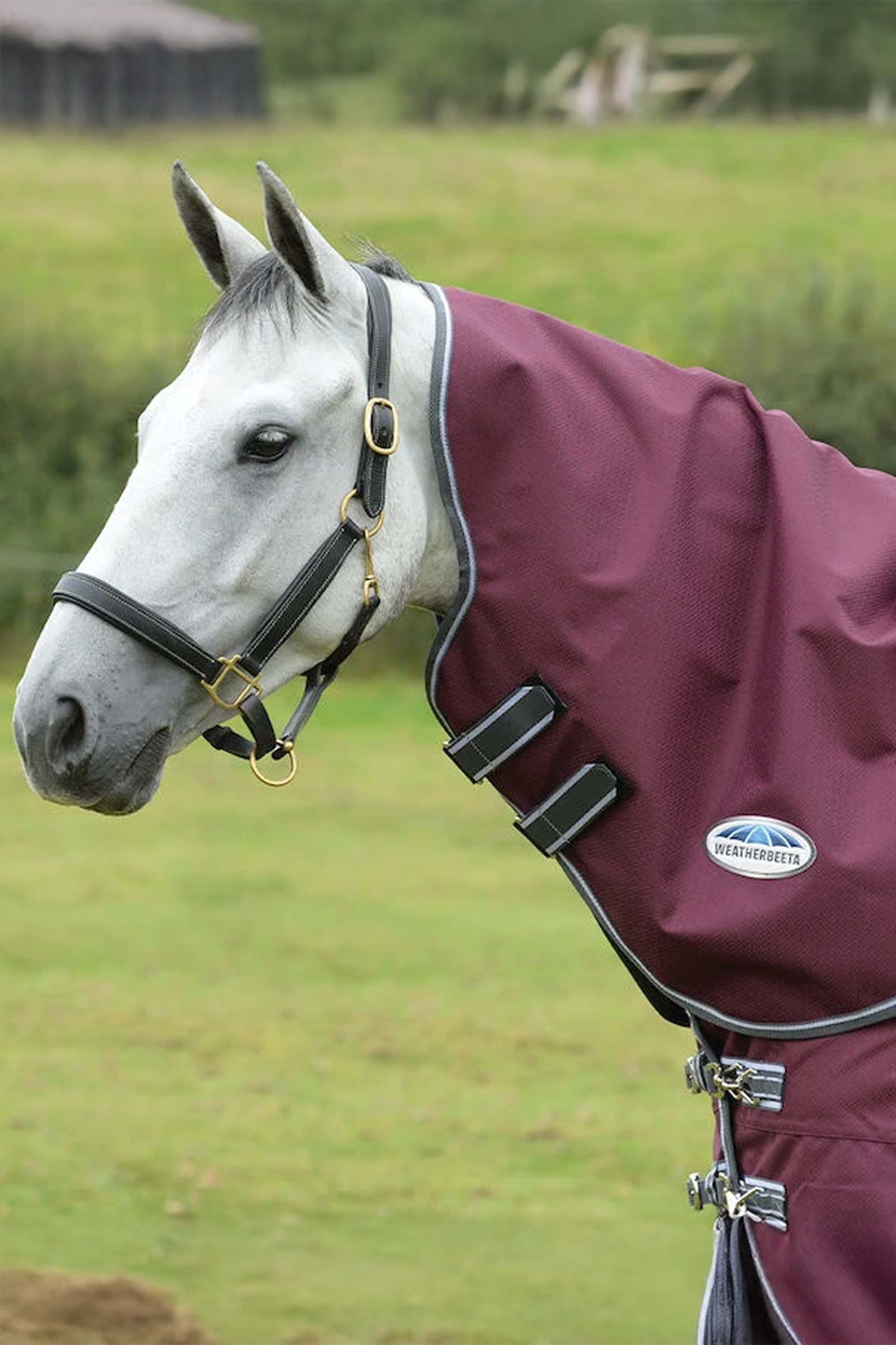 Weatherbeeta Comfitec Plus Dynamic II Lite collo , 0g