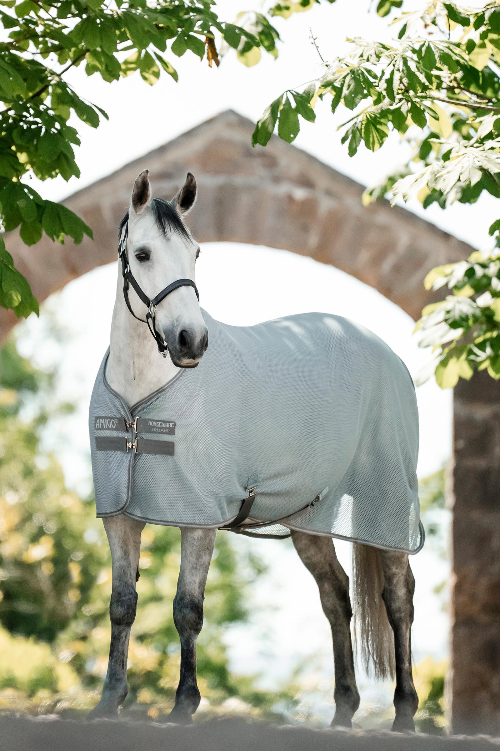 Horseware Amigo AirNet coperta asciugante