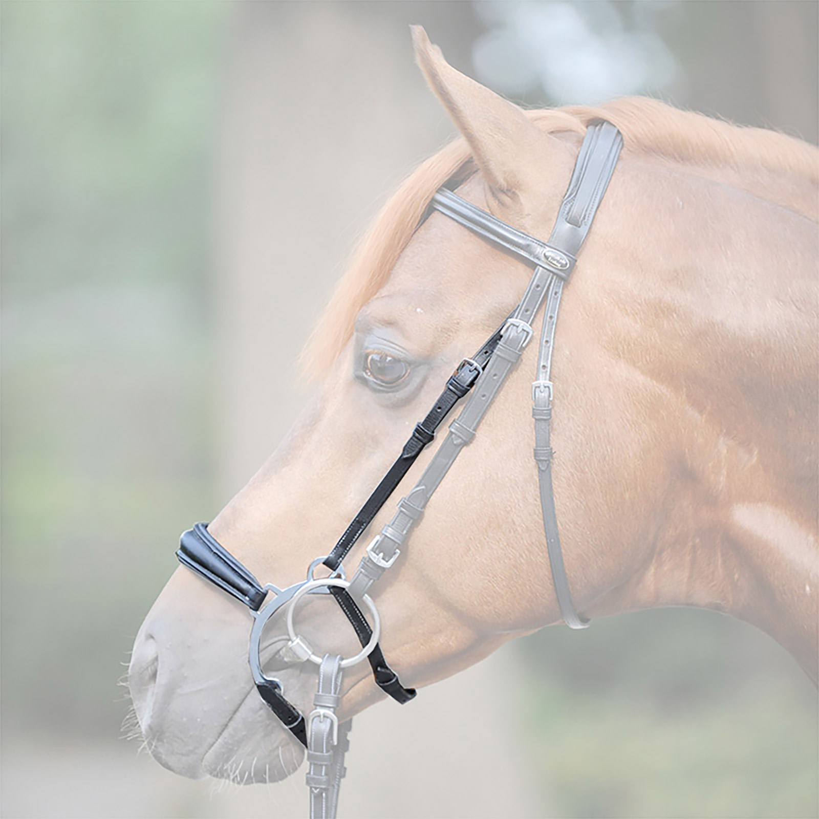 Kavalkade Iron noseband