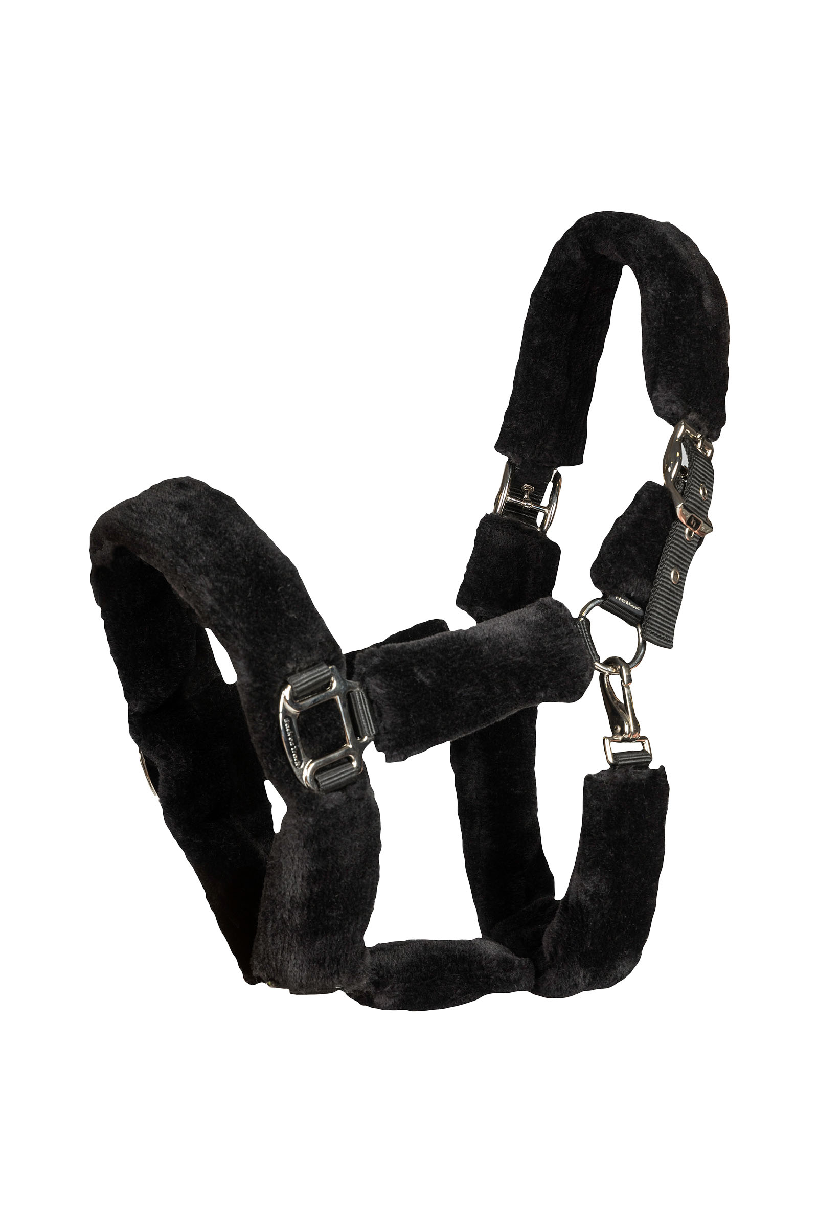 Back on Track Audrey cavezza