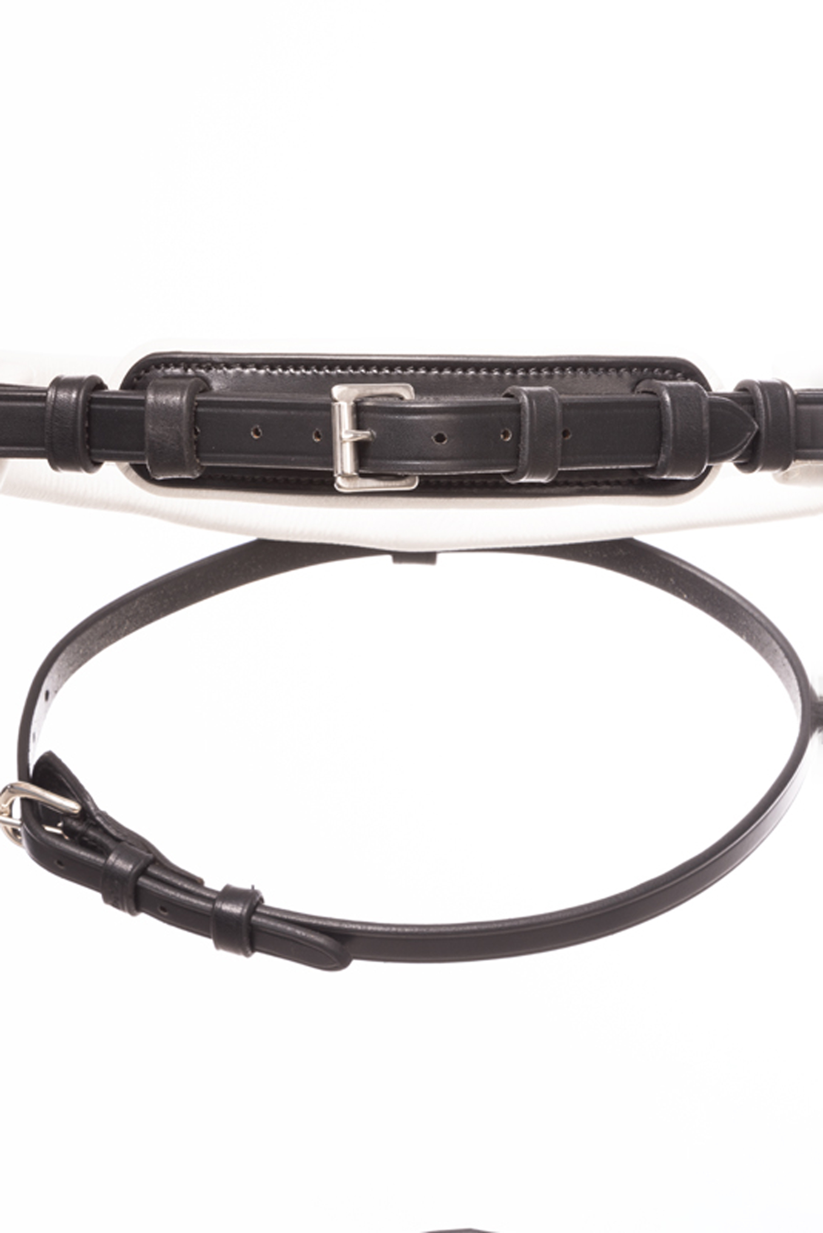 Kavalkade Zora Krank Trento