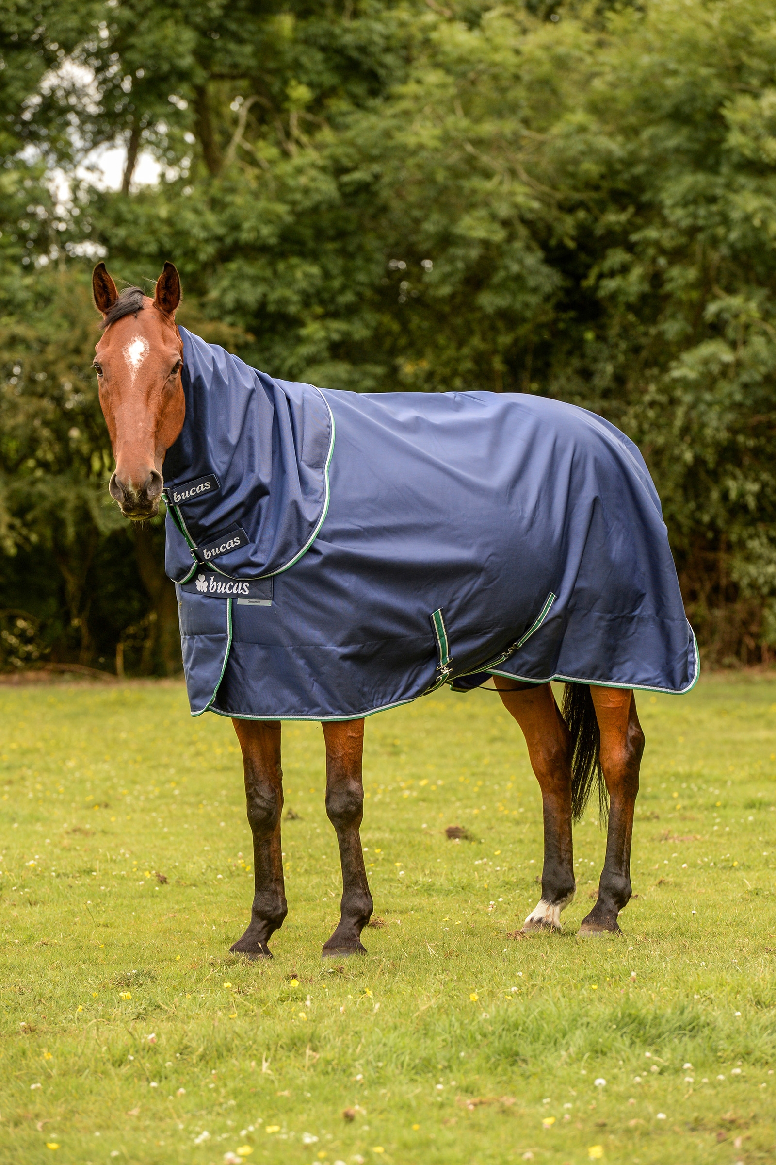 Bucas Smartex Coperta da turnout impermeabile con funzione di raffreddamento, 0g per pony